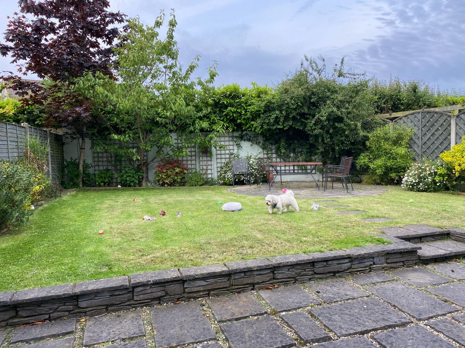 image-25