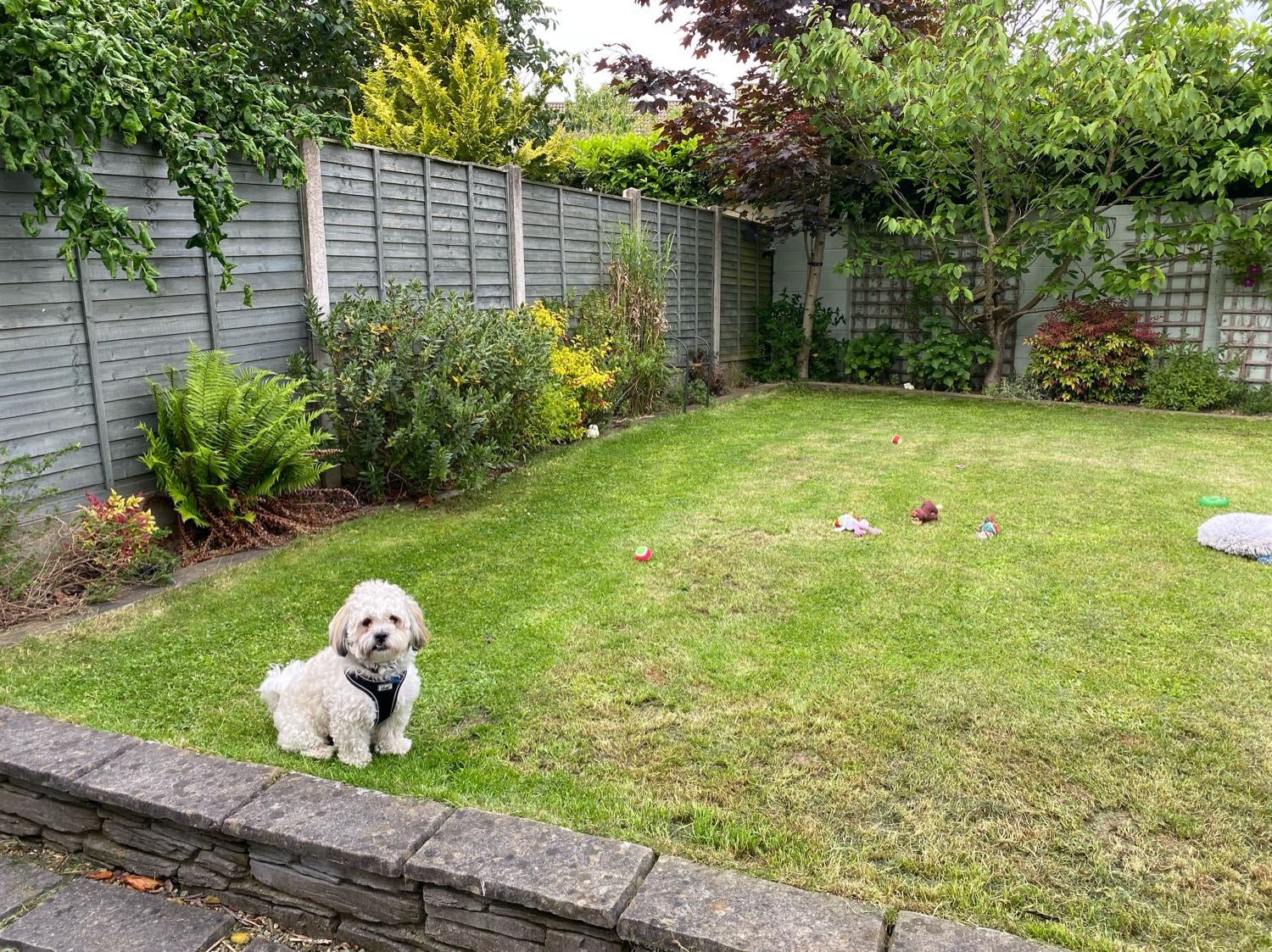 image-26