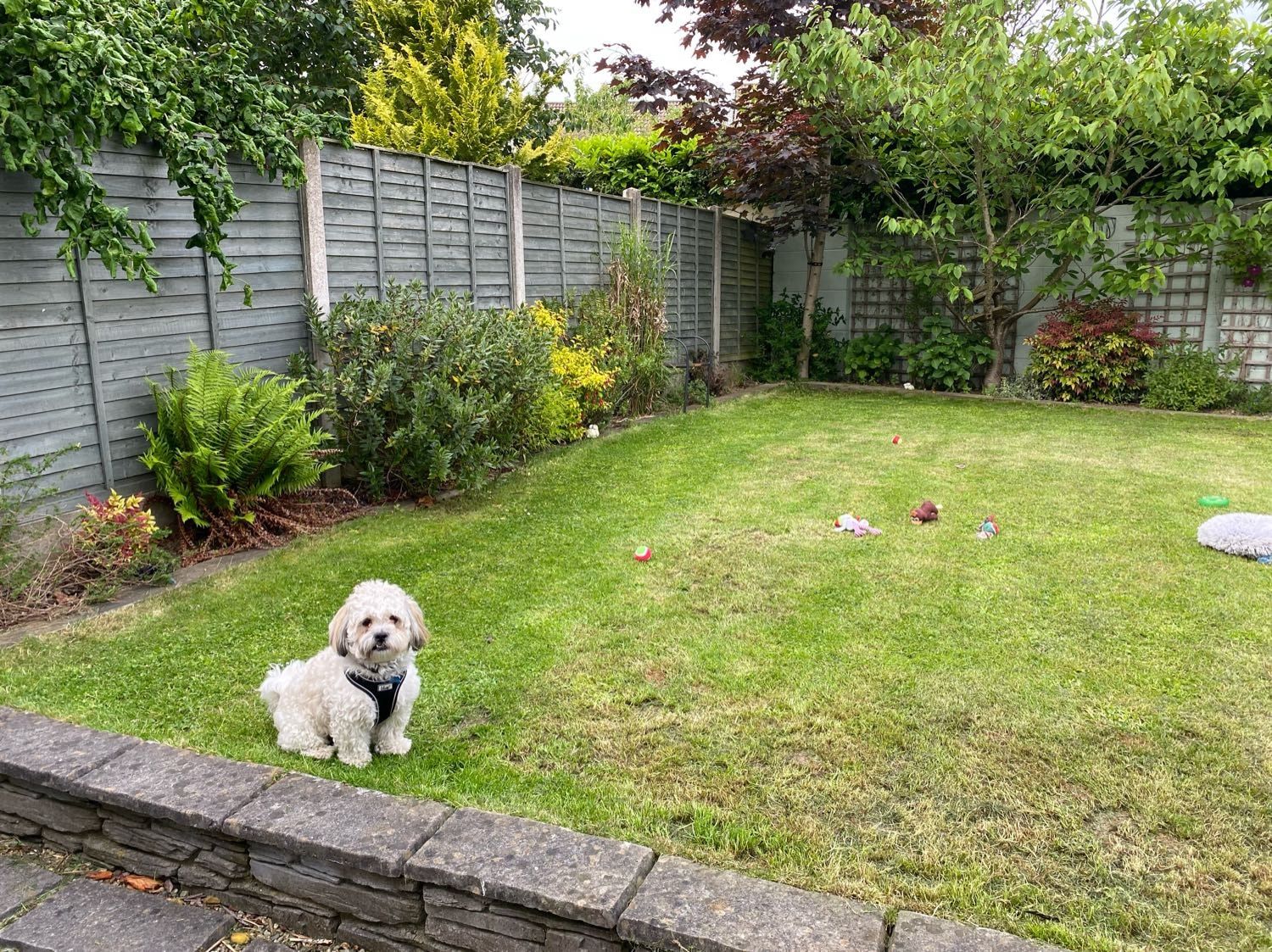 image-26