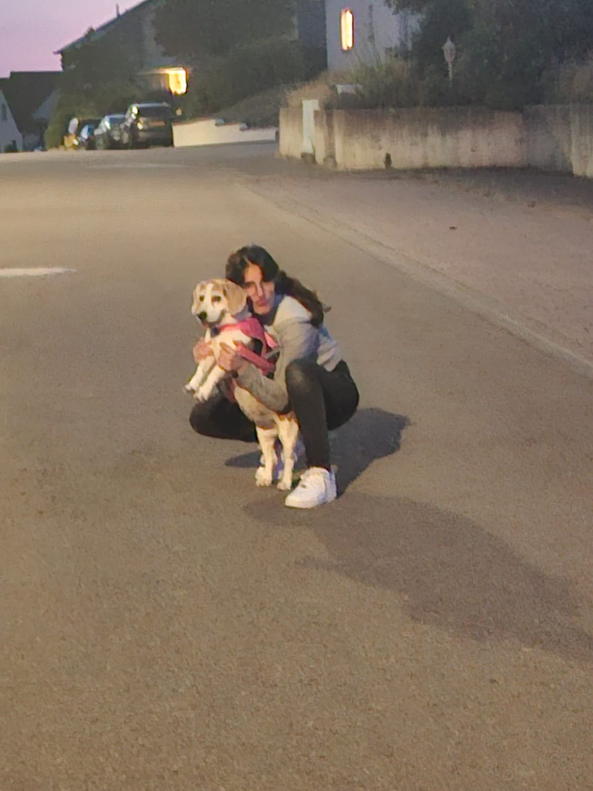 image-5
