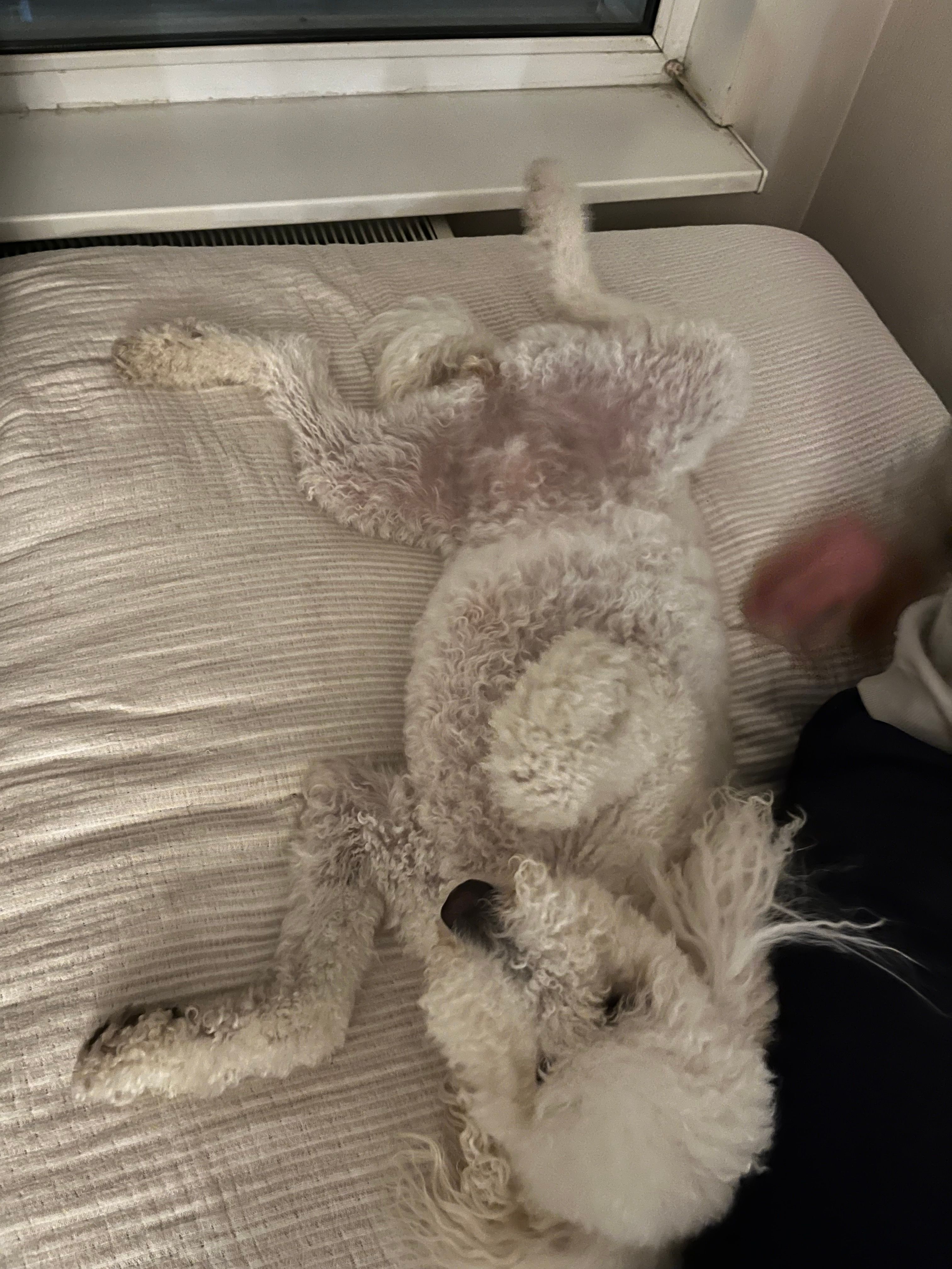 image-8