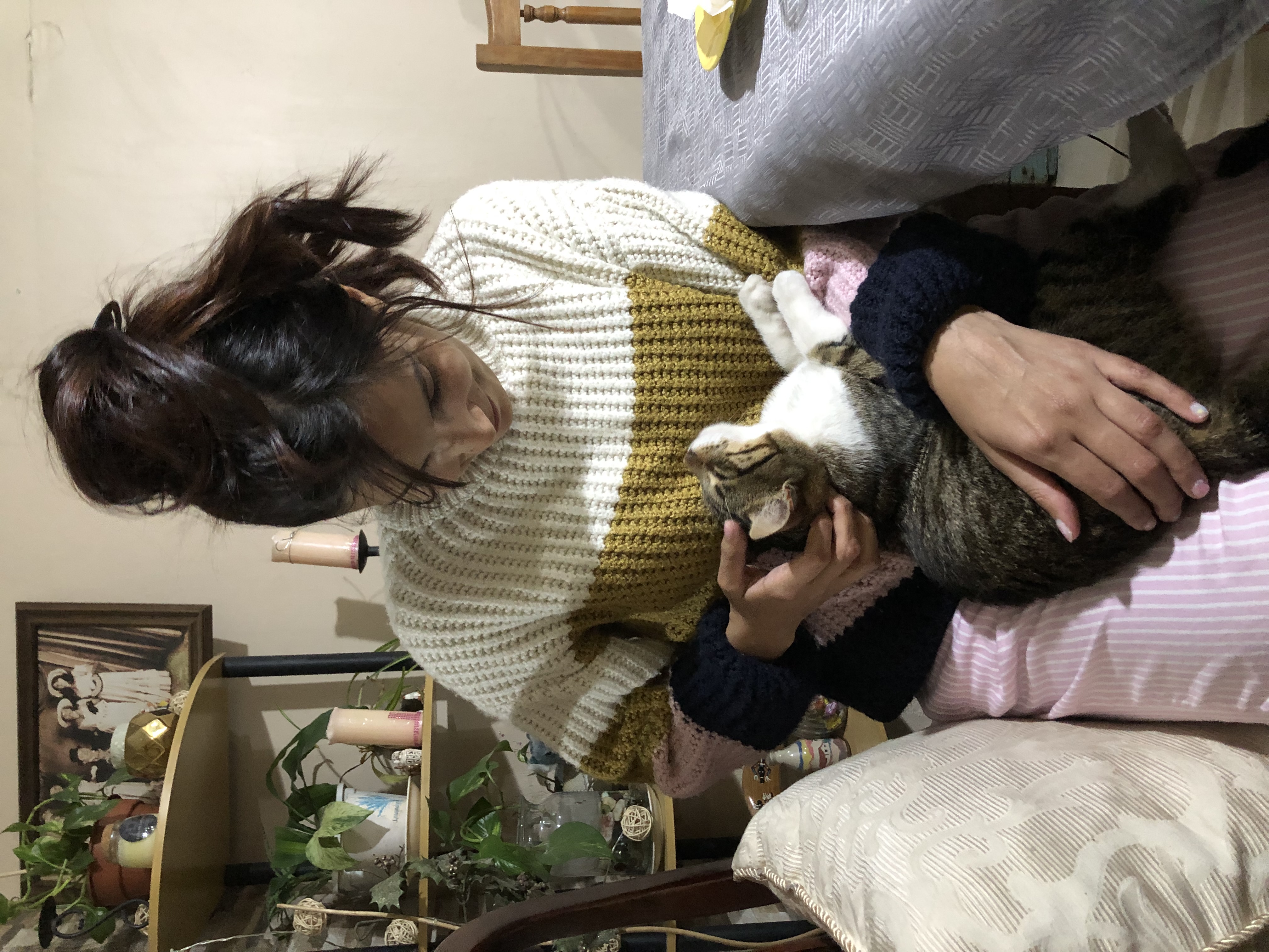 image-7