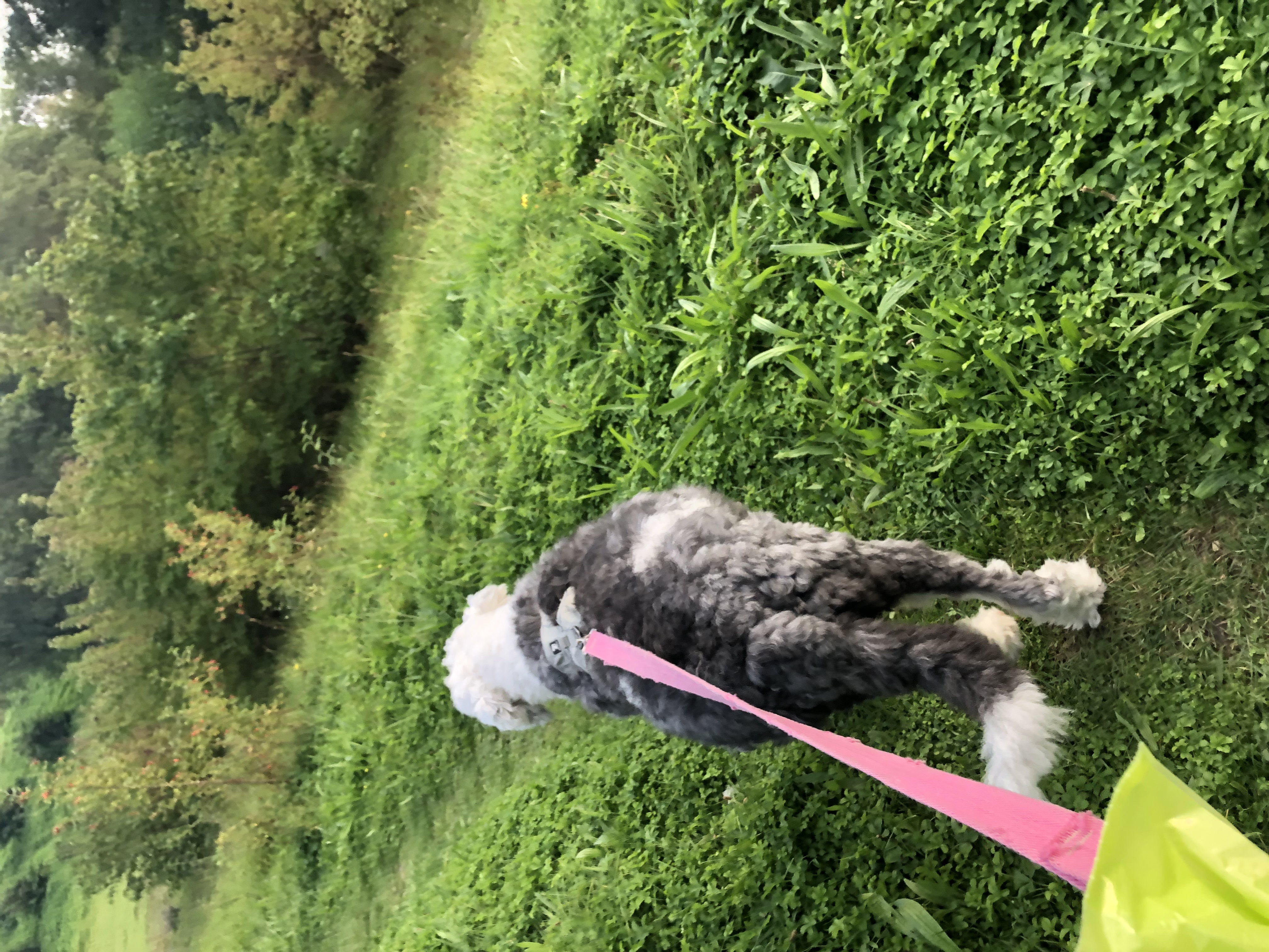 image-6