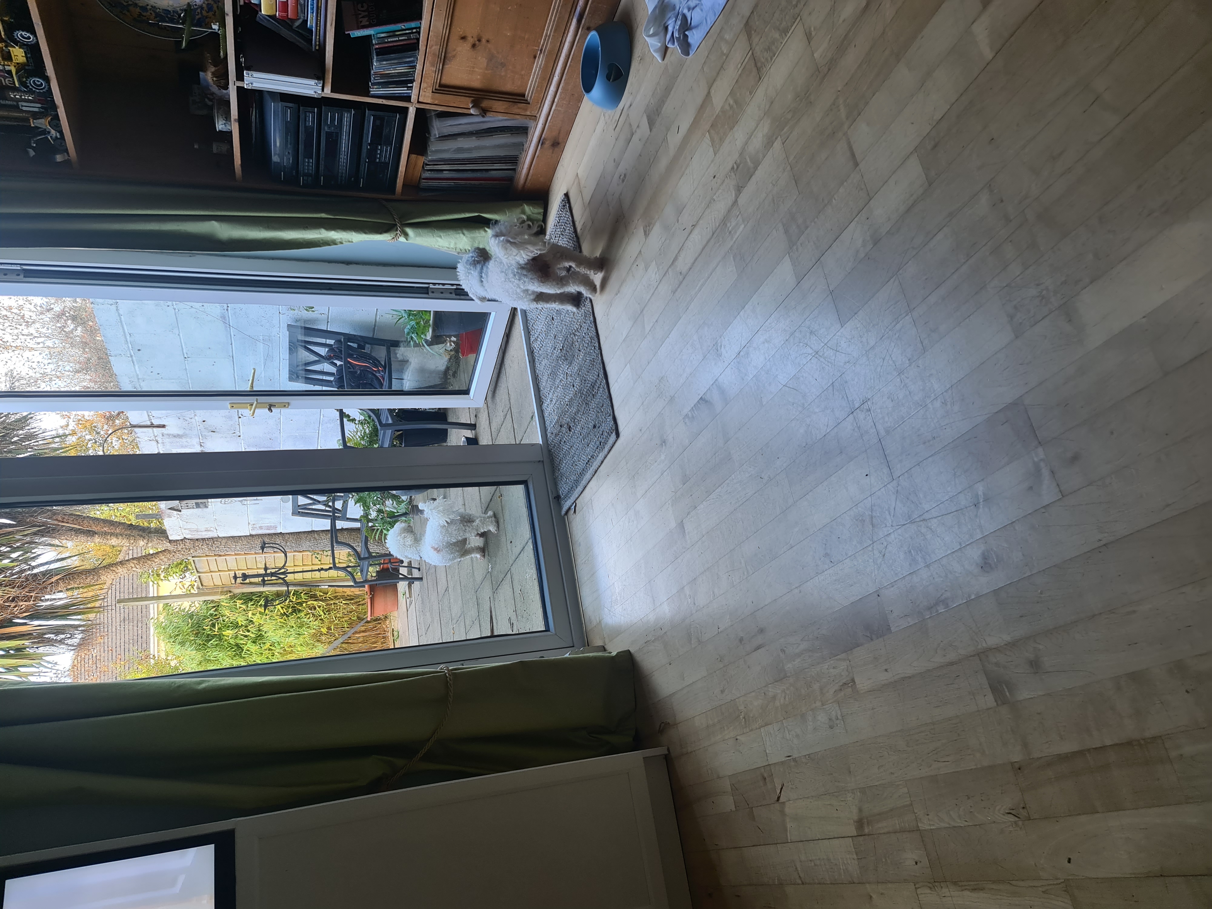 image-8