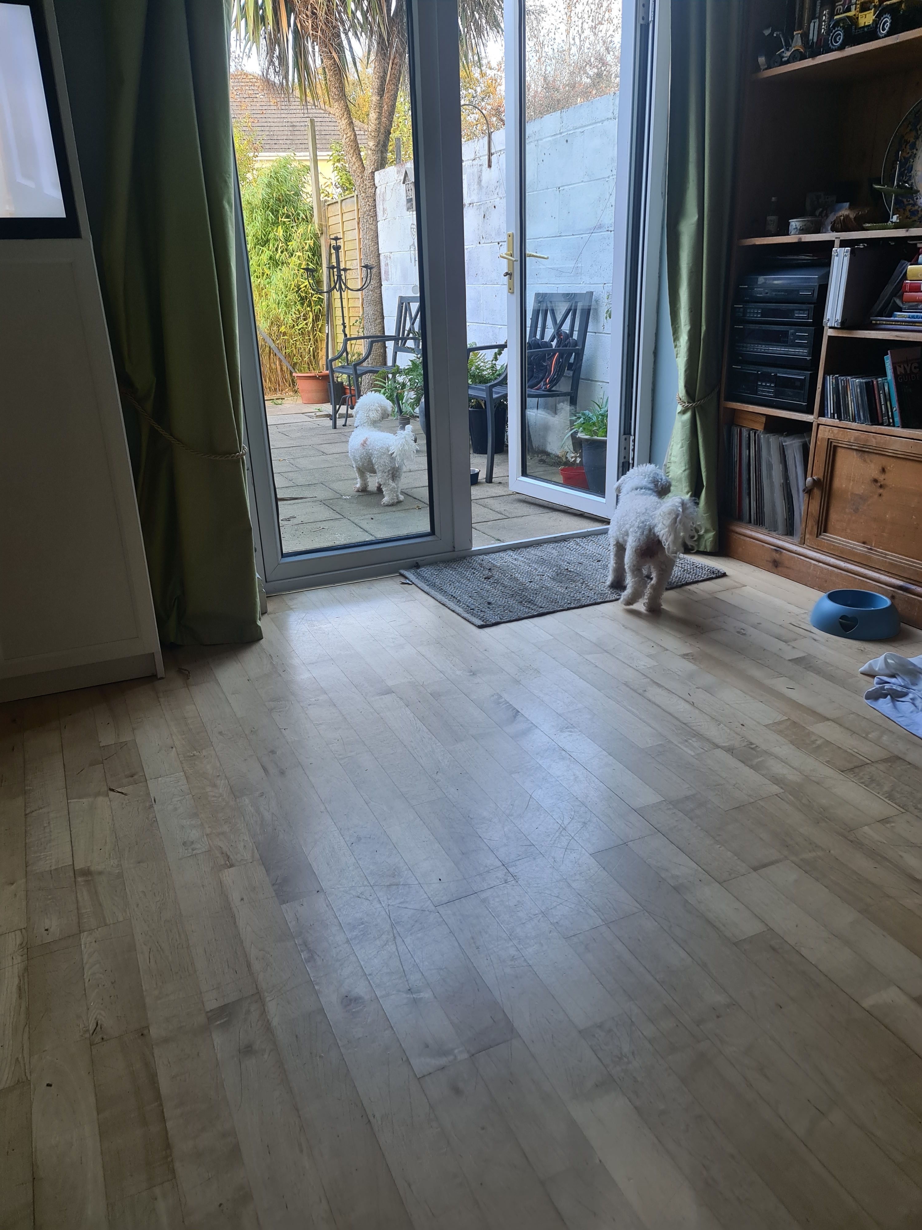 image-8