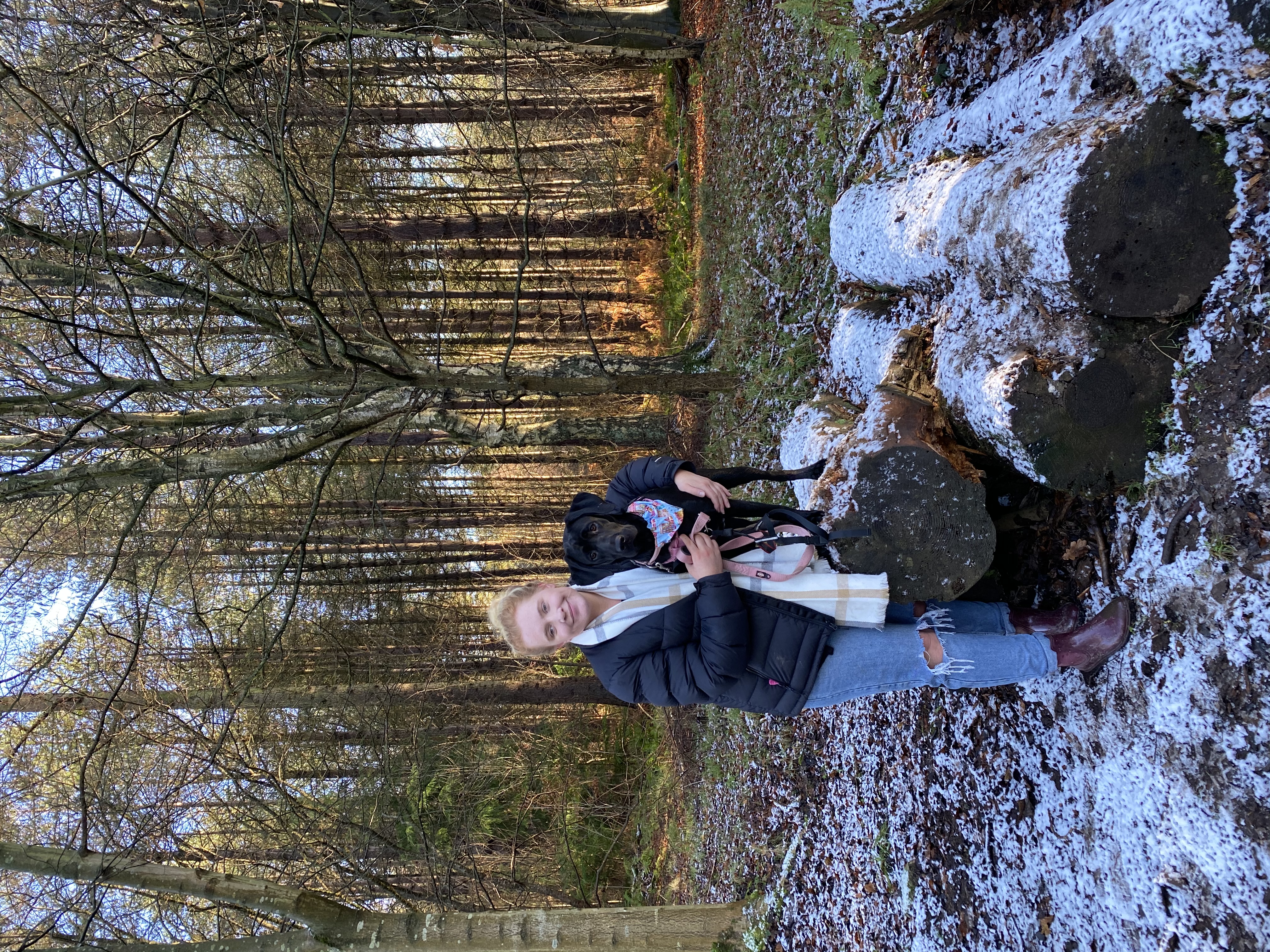 image-4