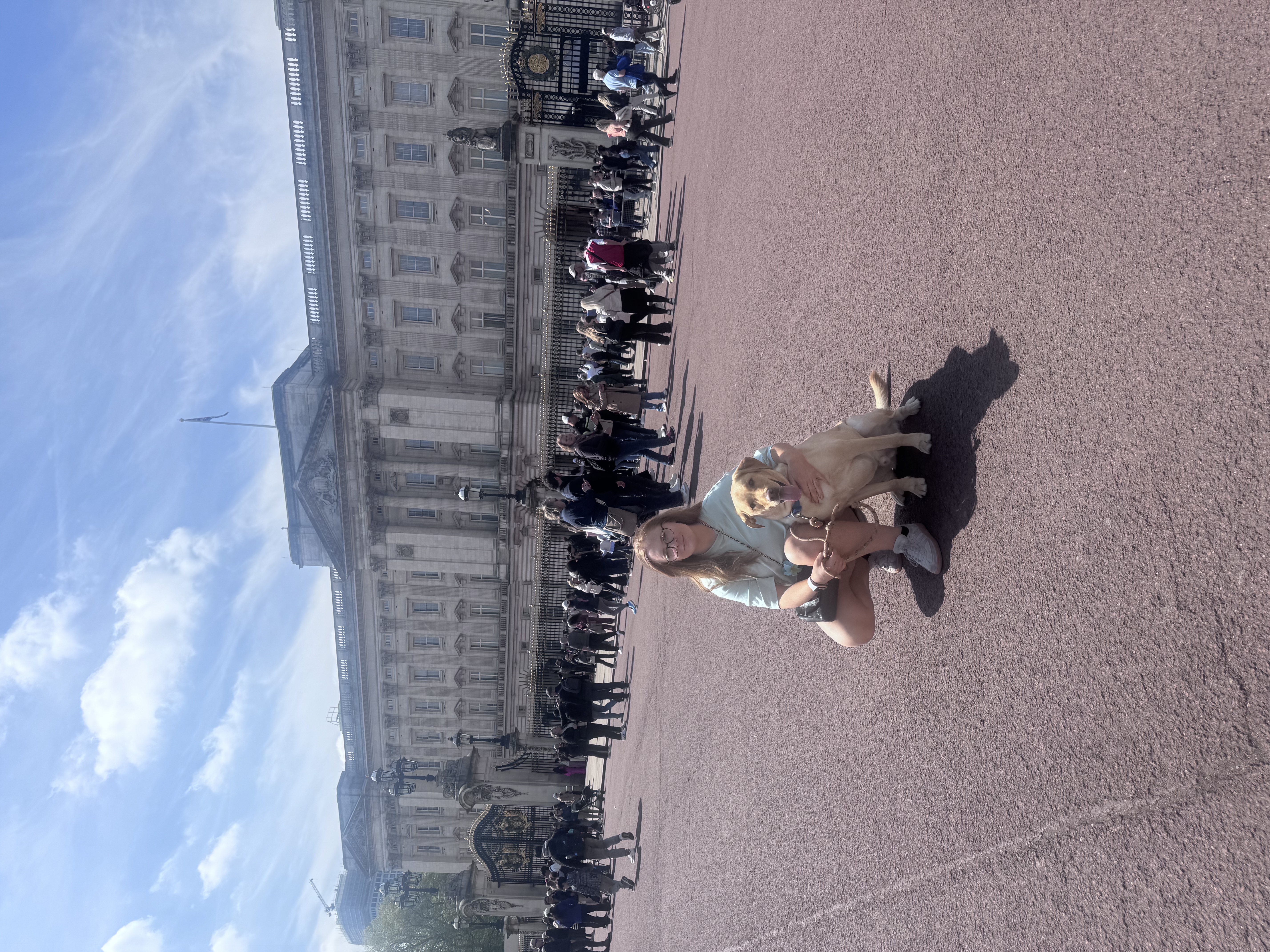 image-14