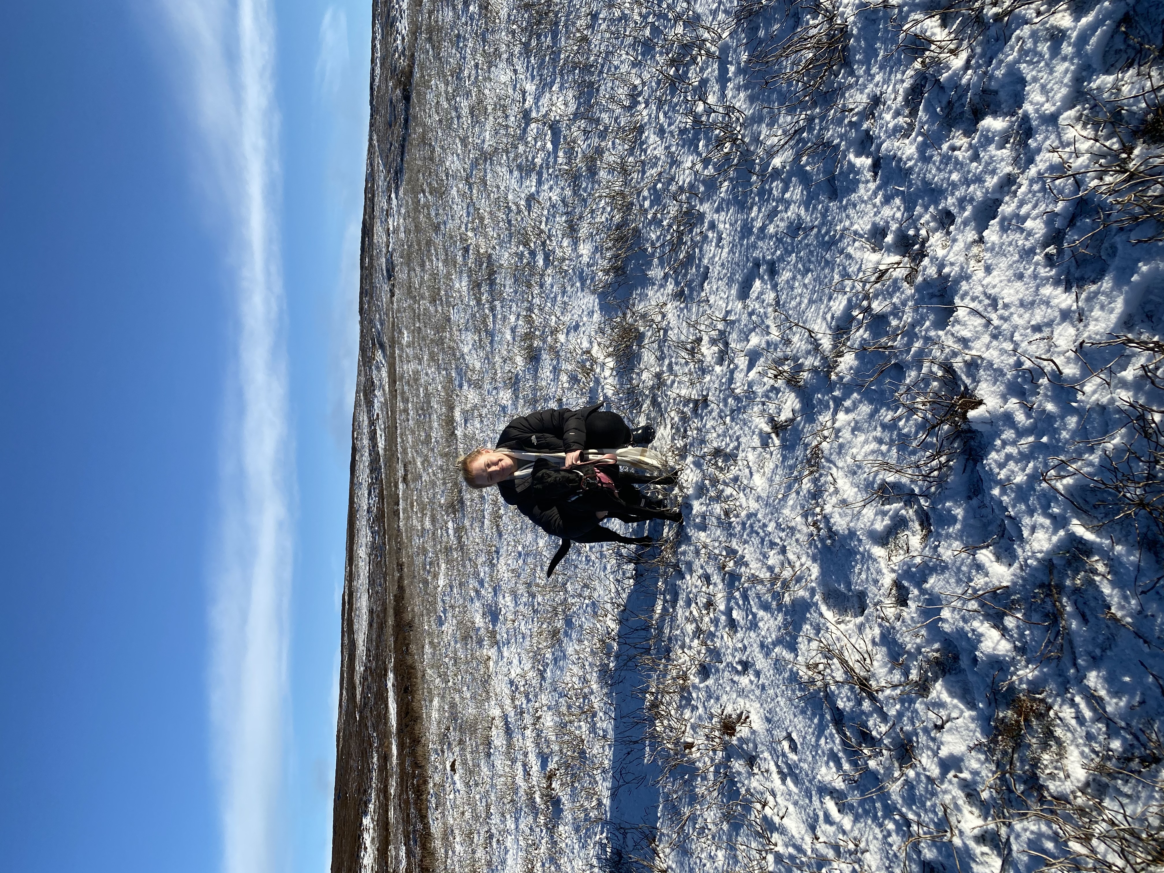 image-0