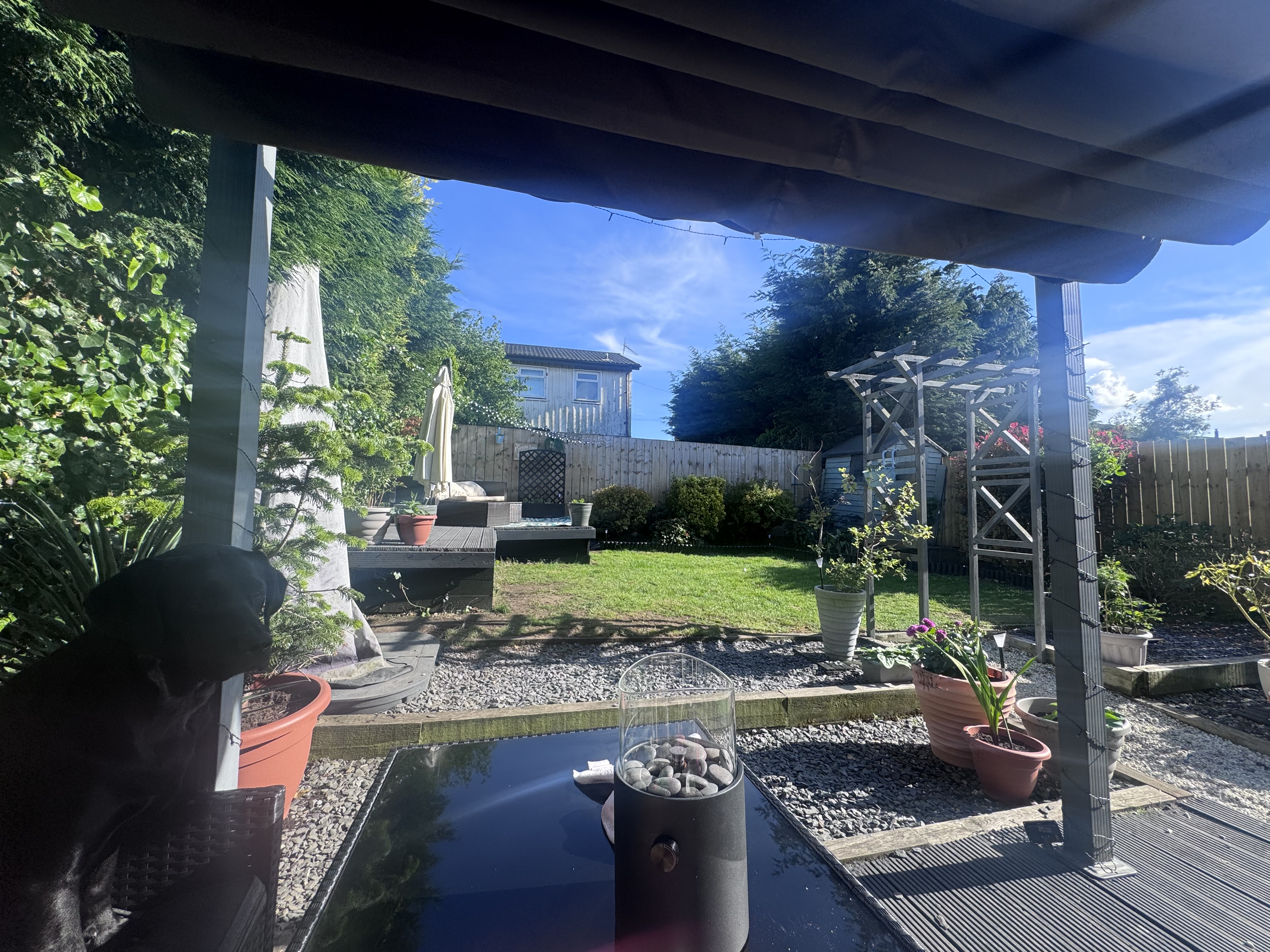 image-20