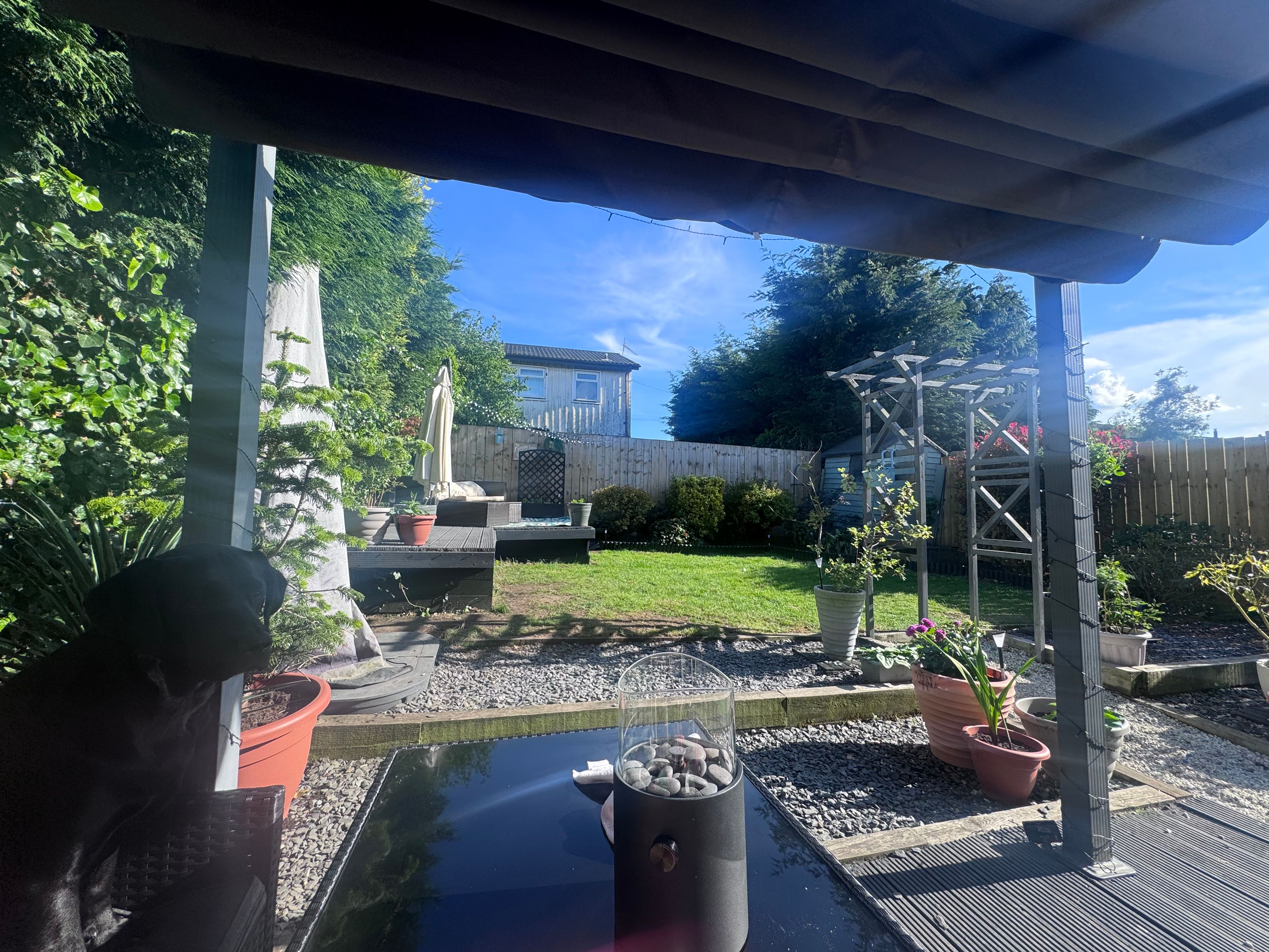 image-20