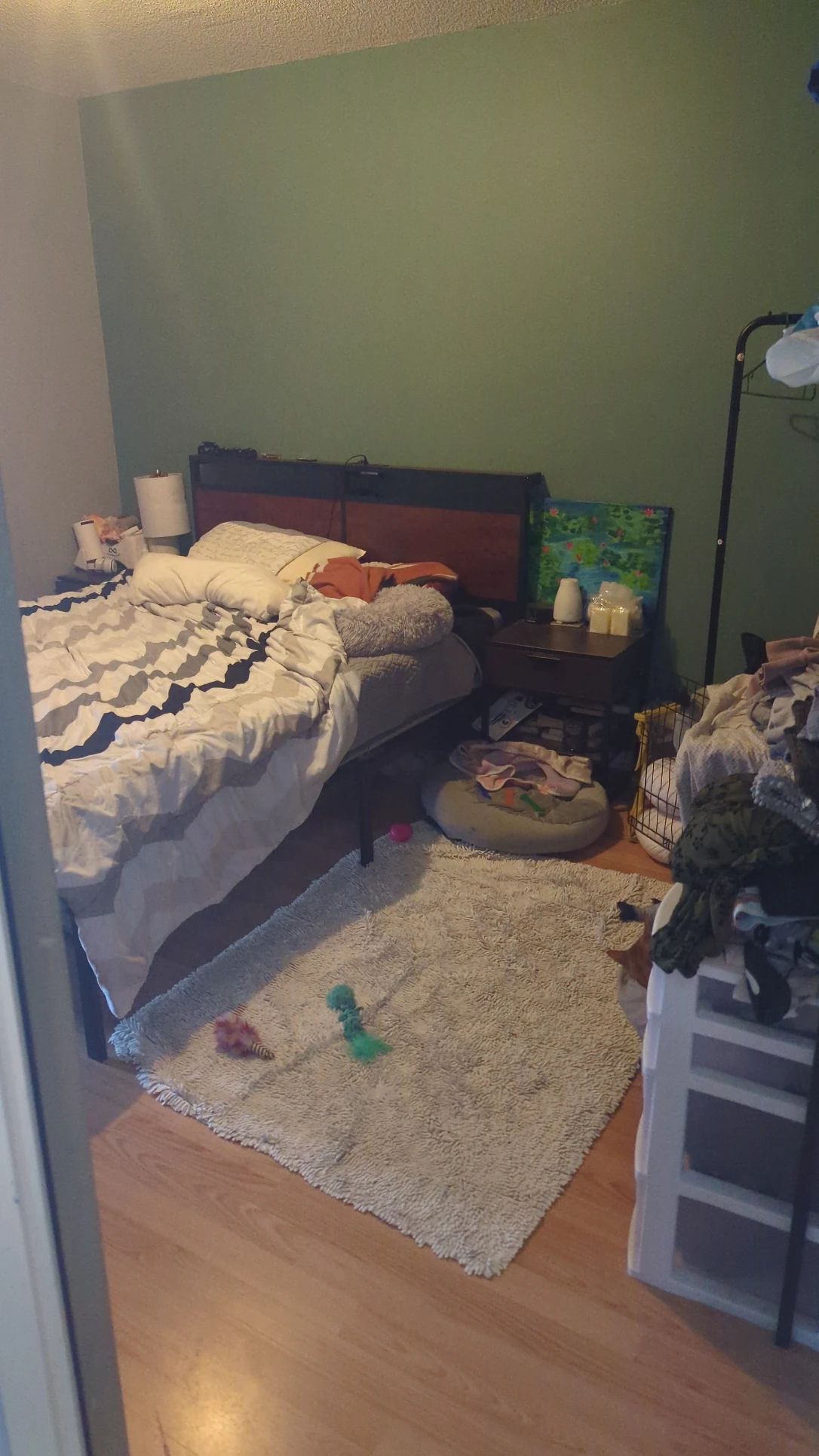 image-13