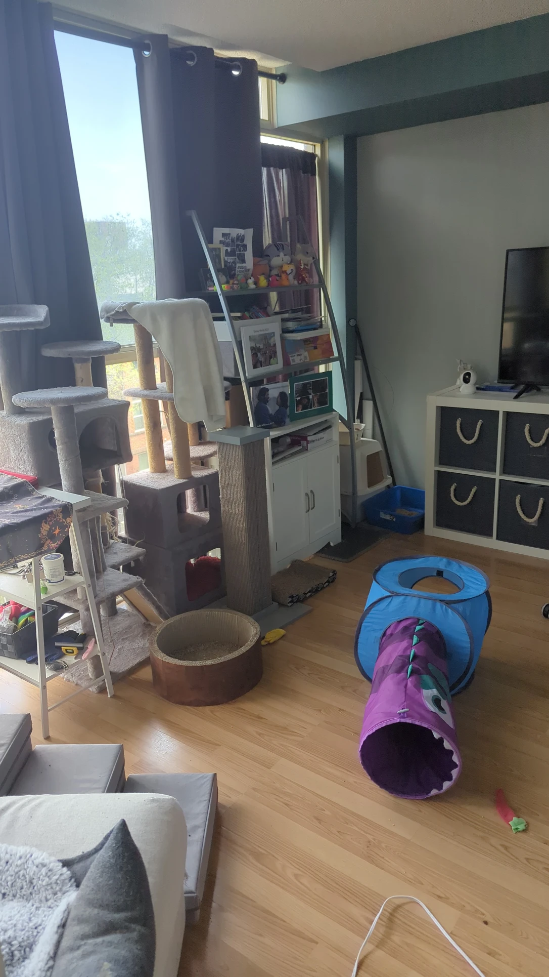 image-15
