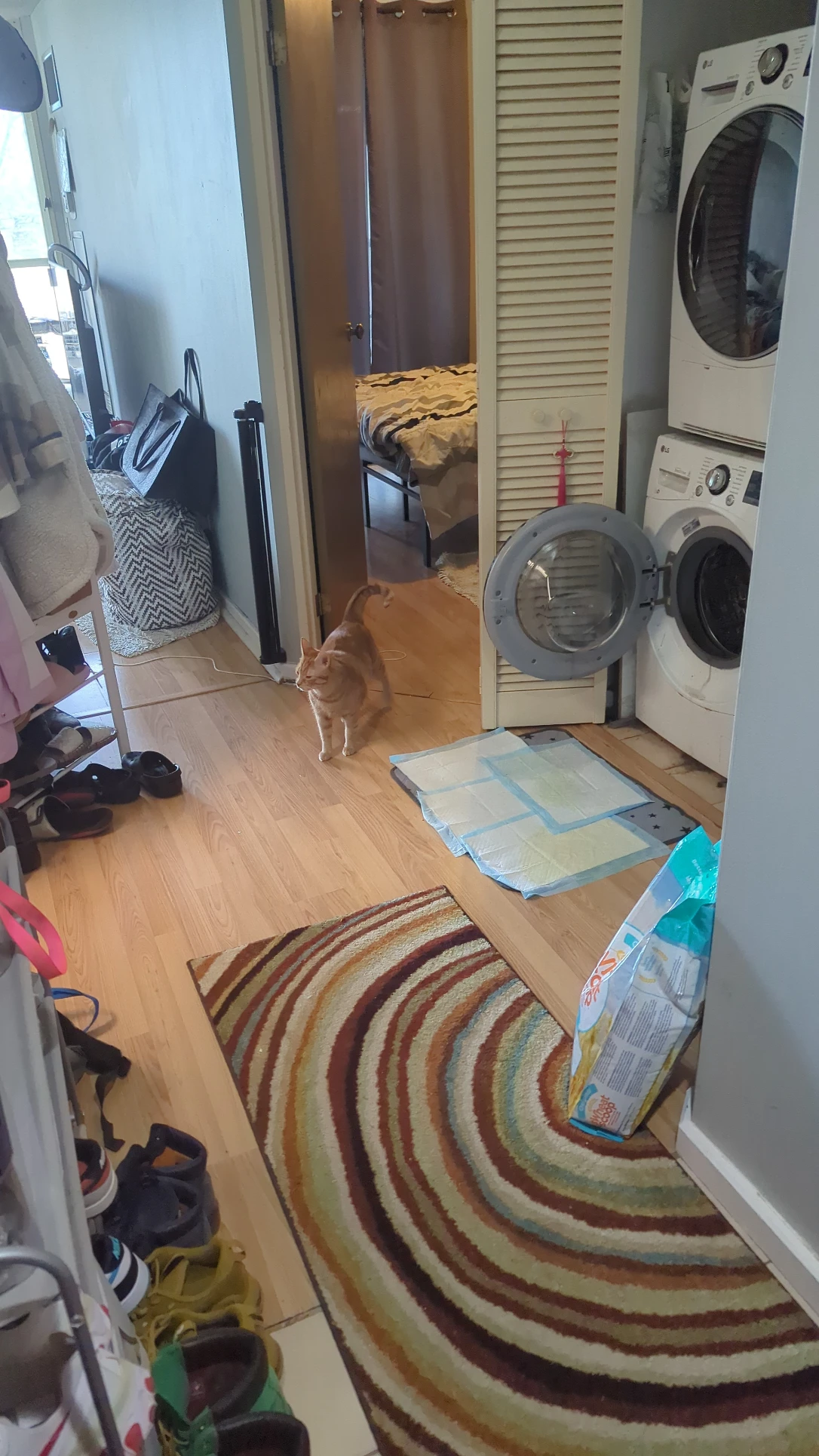 image-14