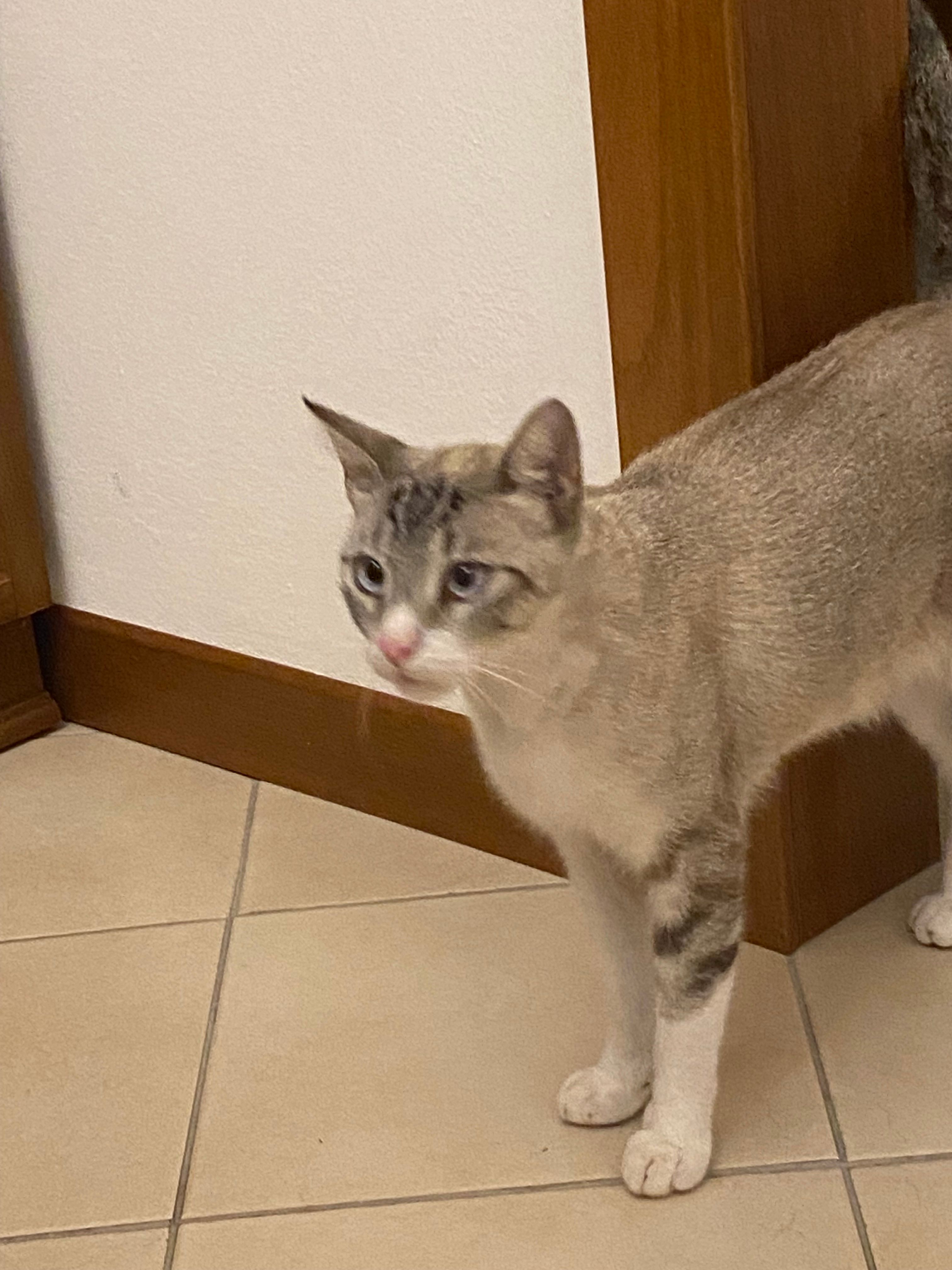 image-16