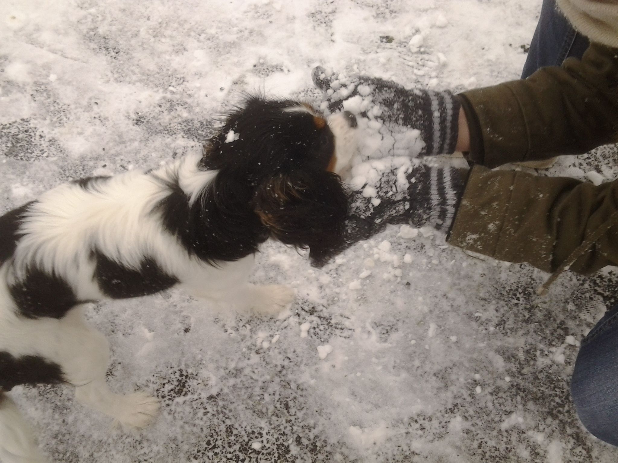image-8