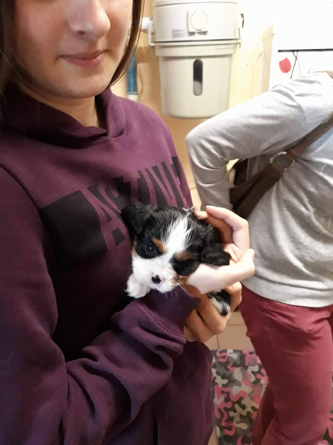 image-4