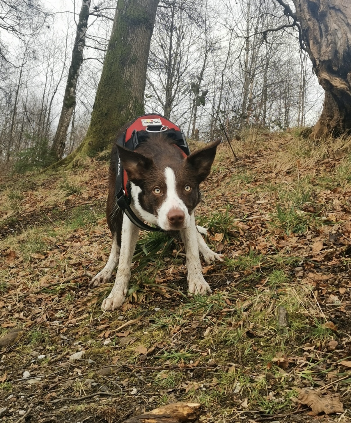 image-6