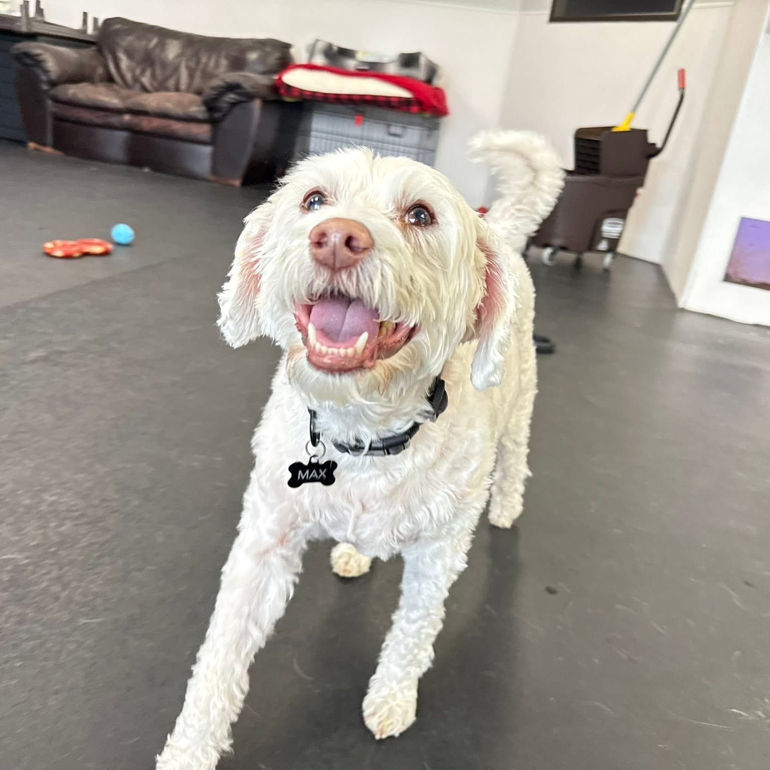 Max