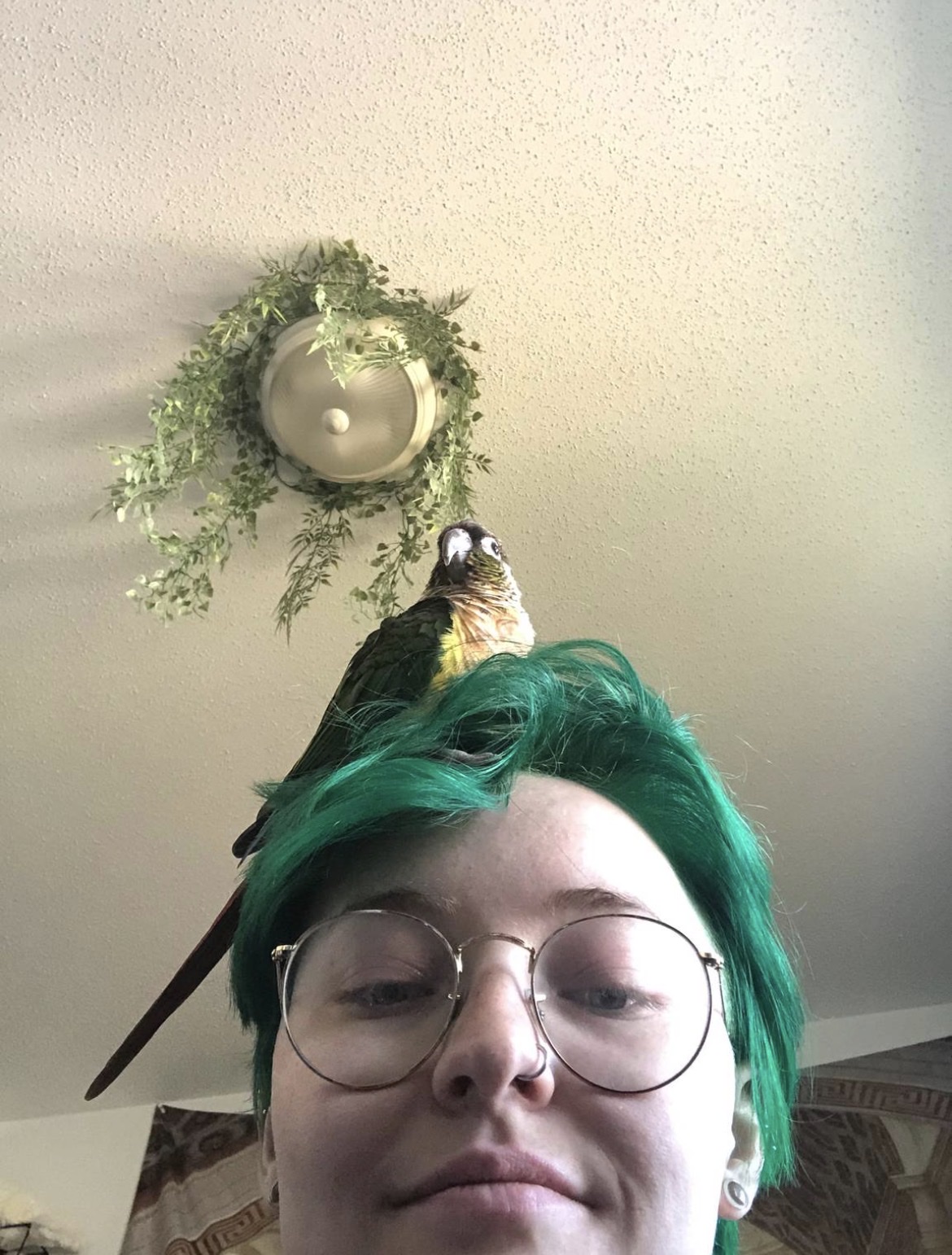 image-10