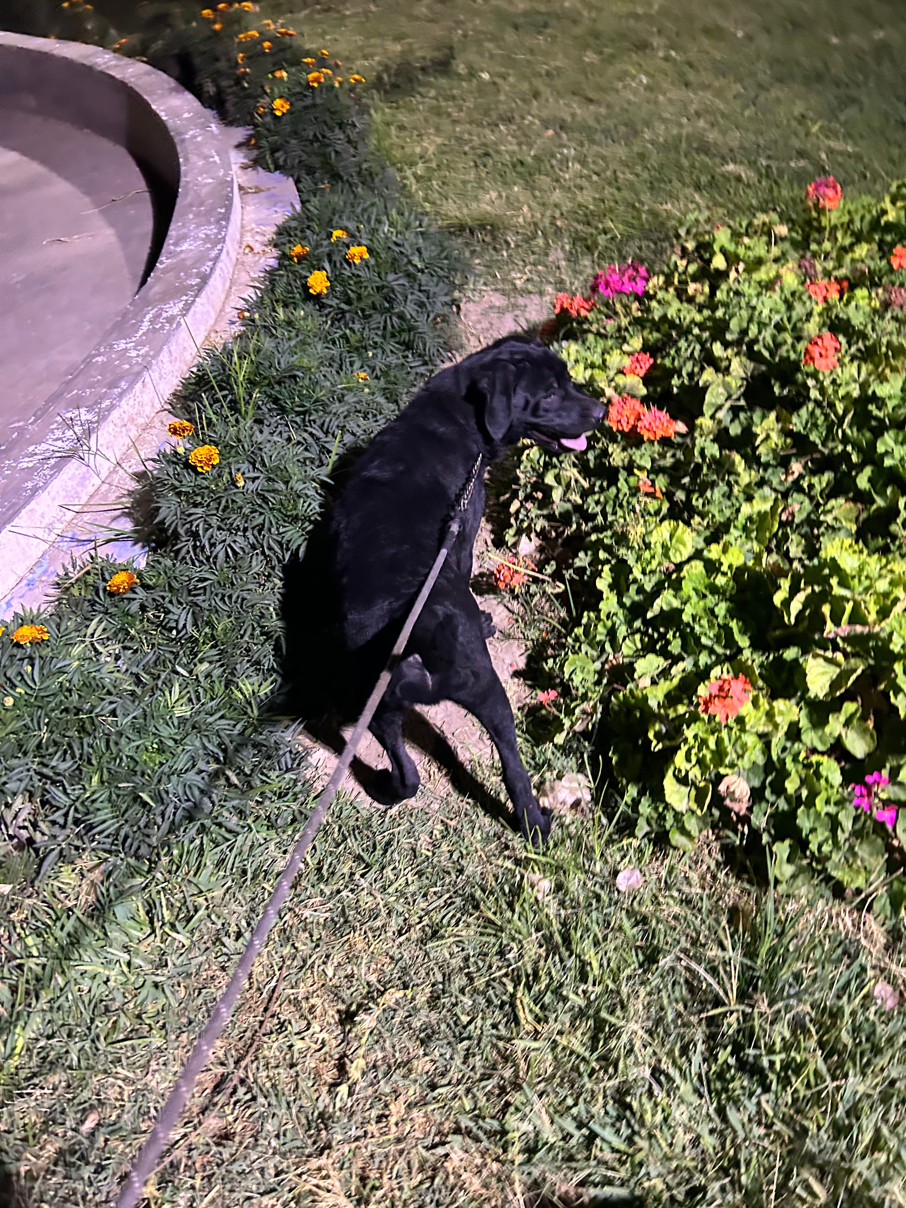 image-6