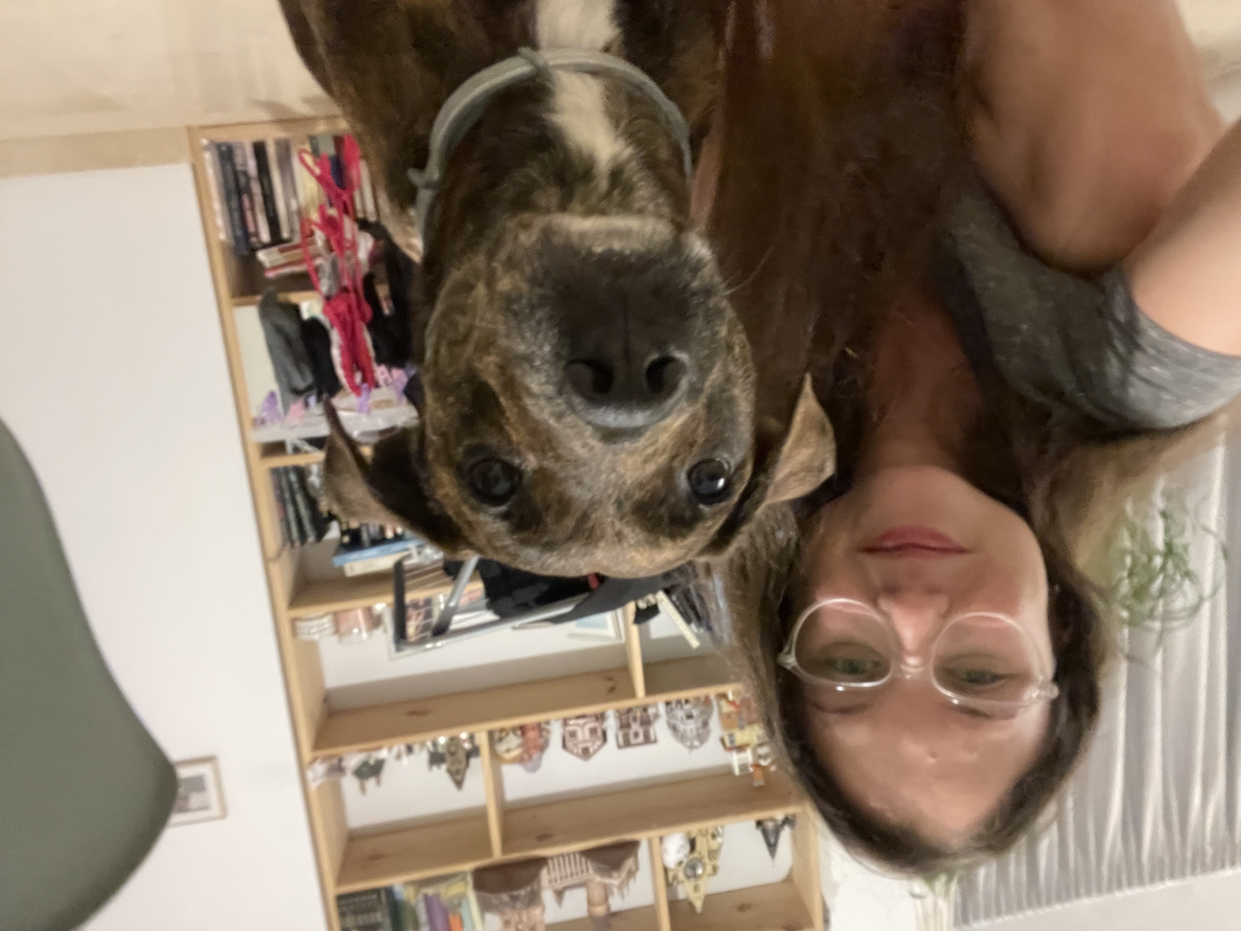 image-8