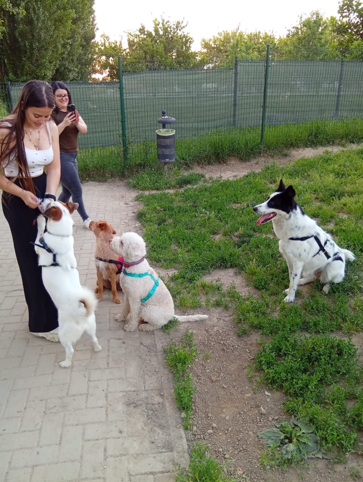image-10