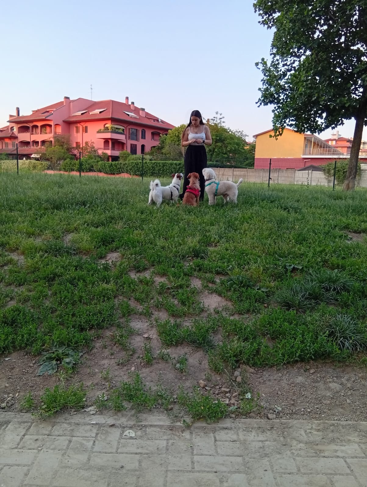 image-9