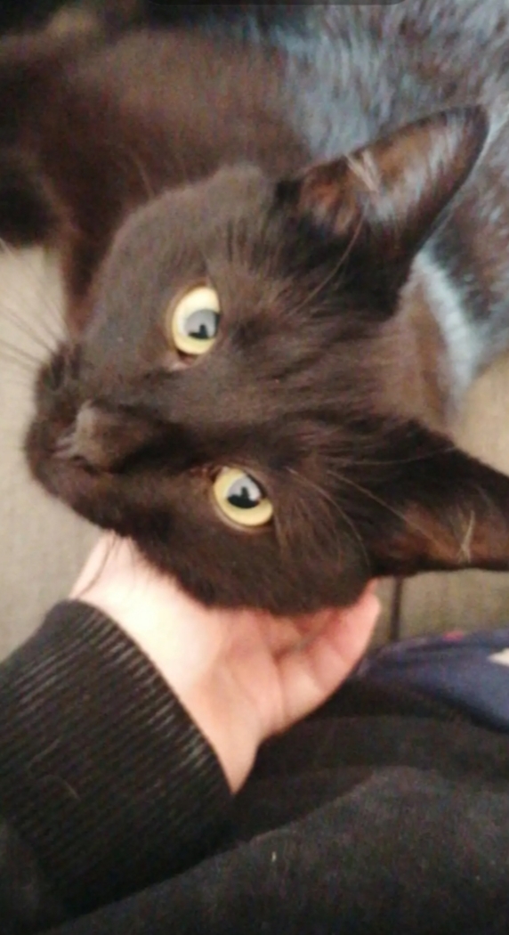 image-8
