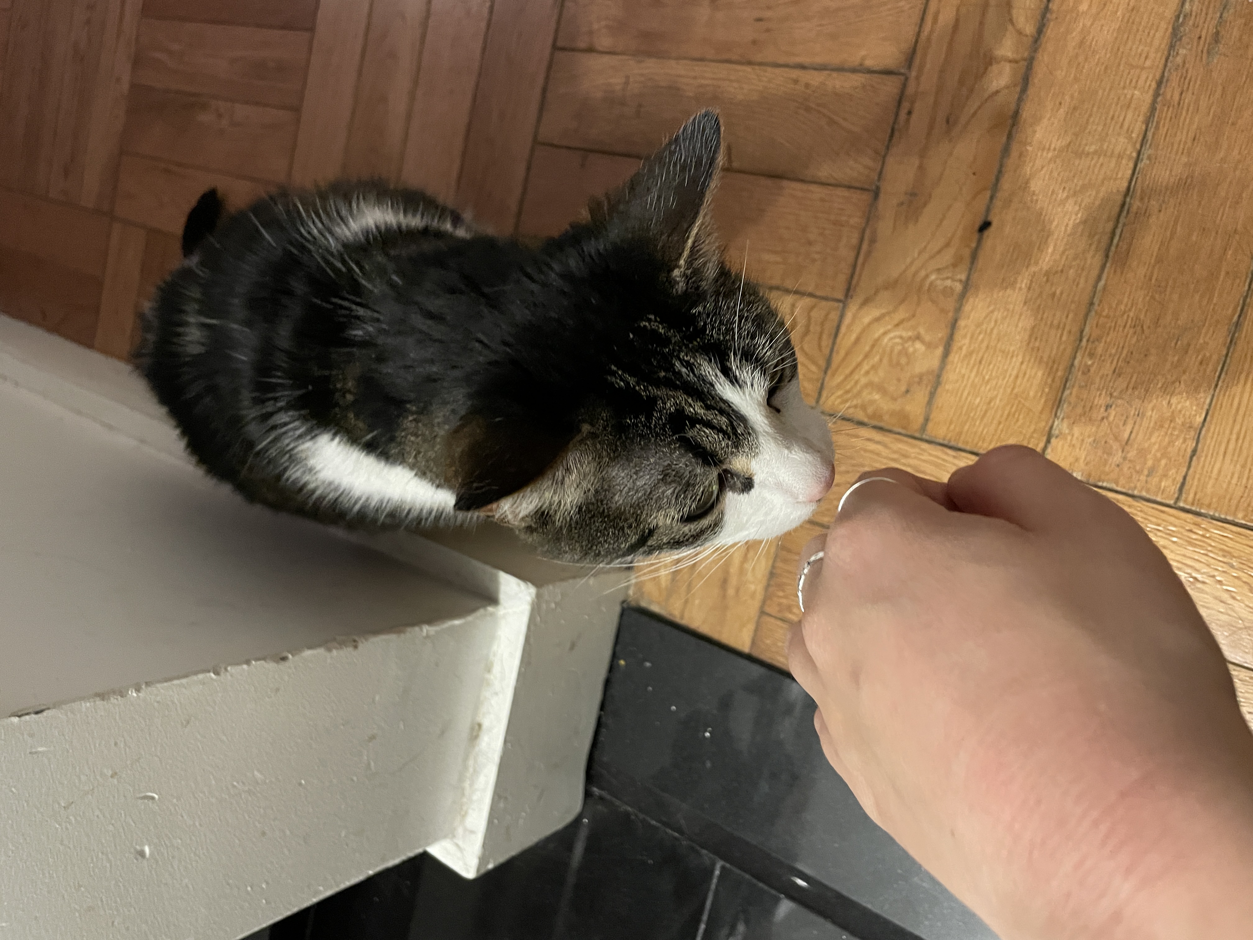 image-16