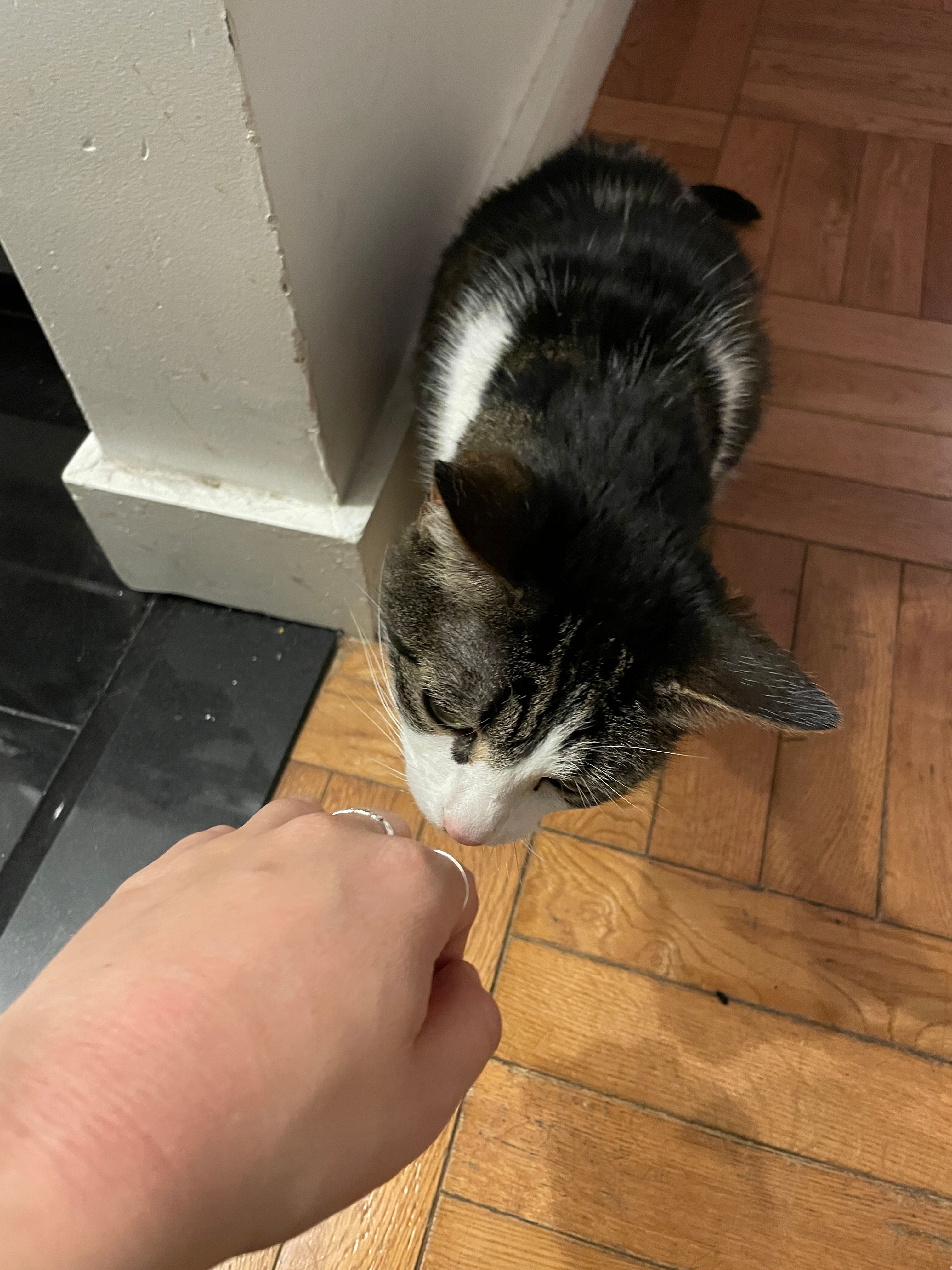 image-16