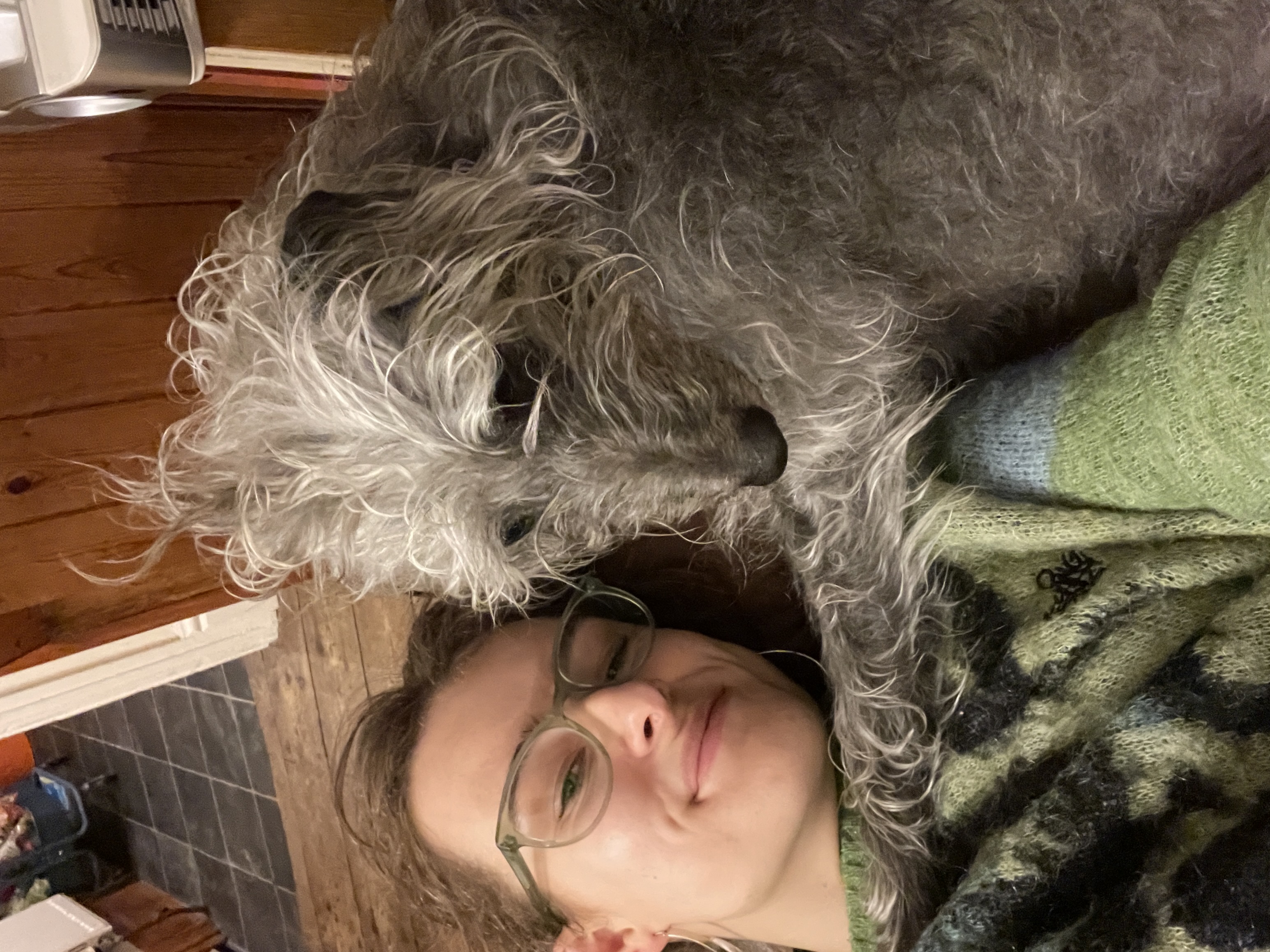 image-6