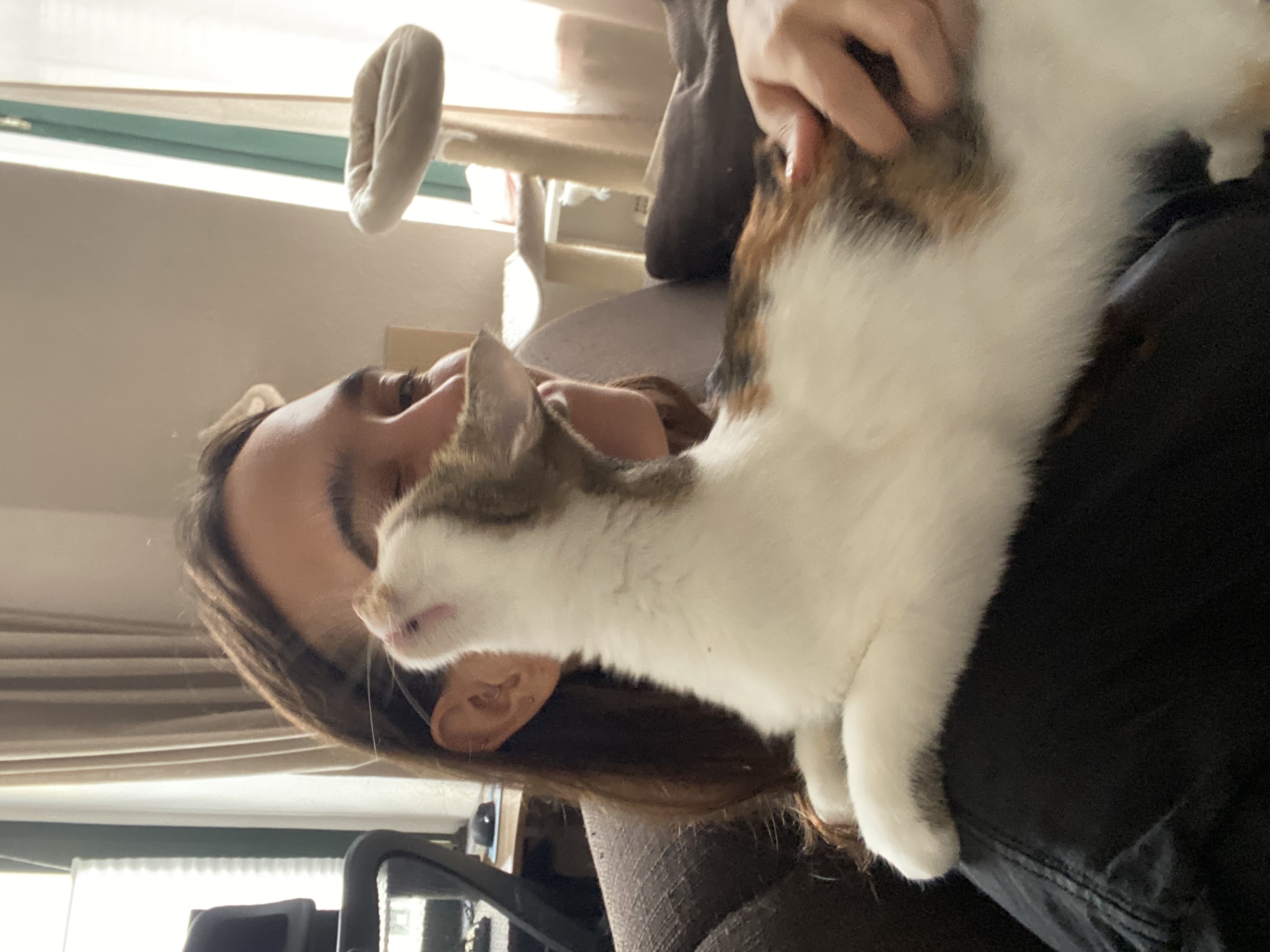 image-1