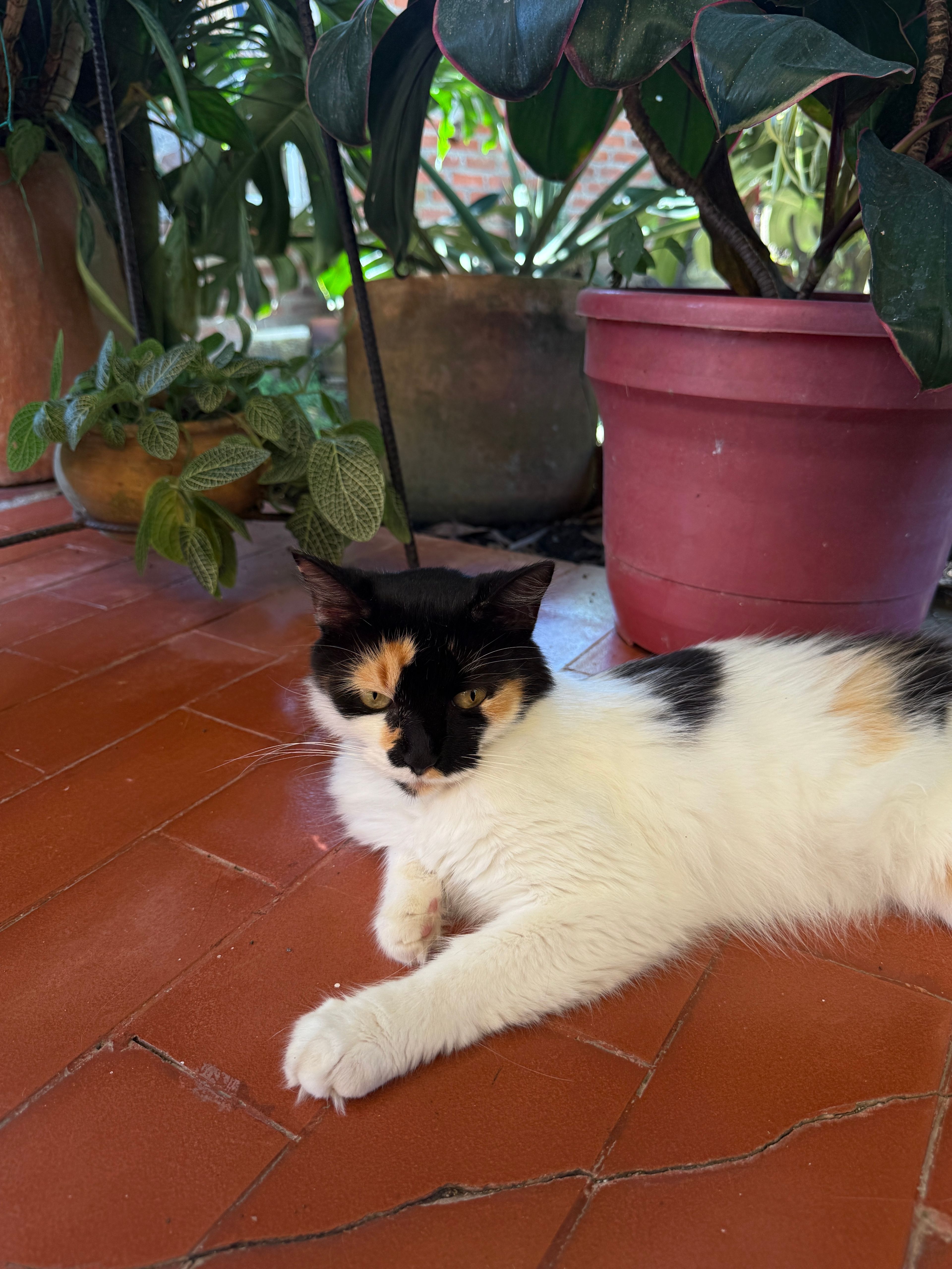 image-13