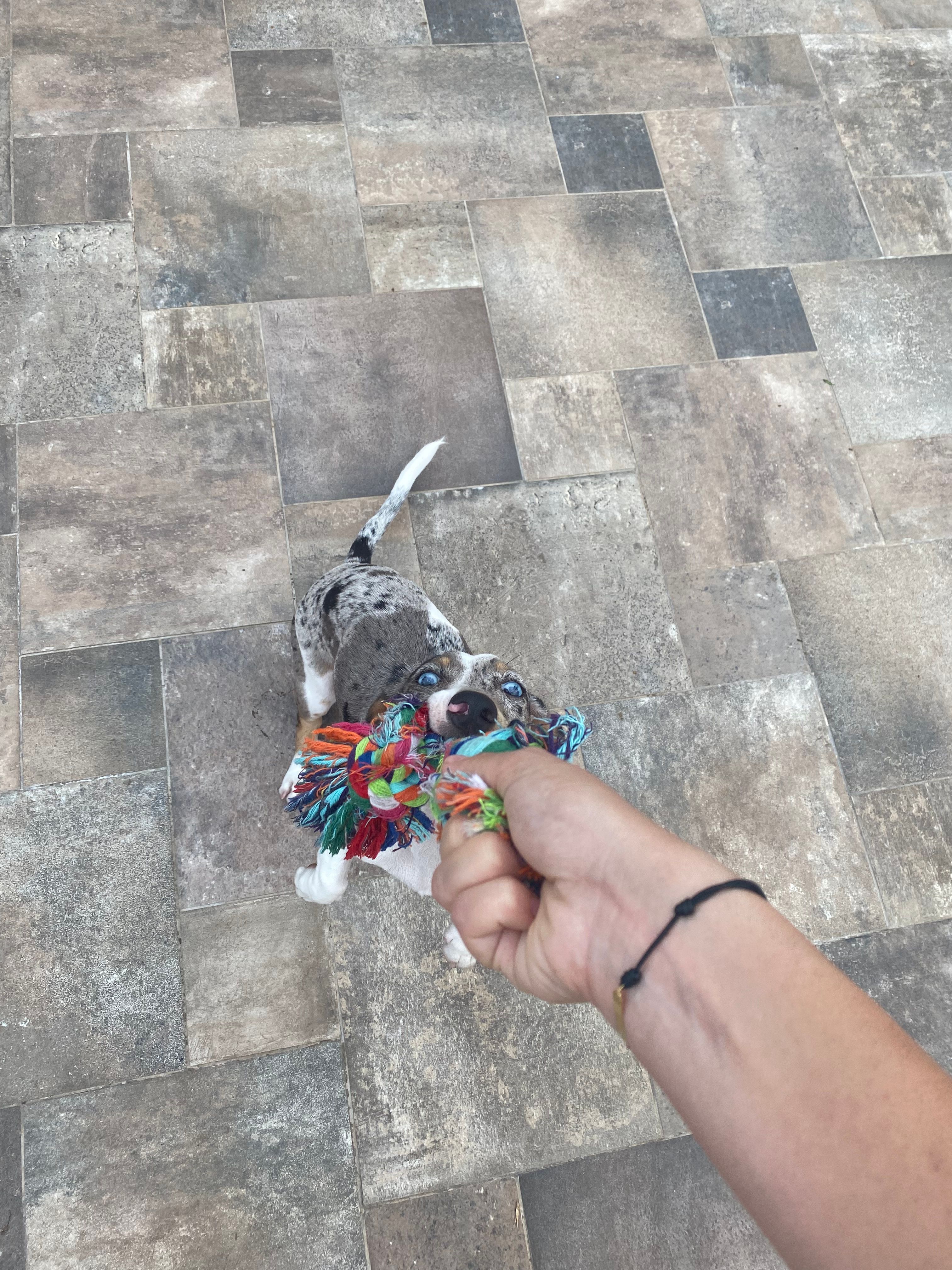 image-16