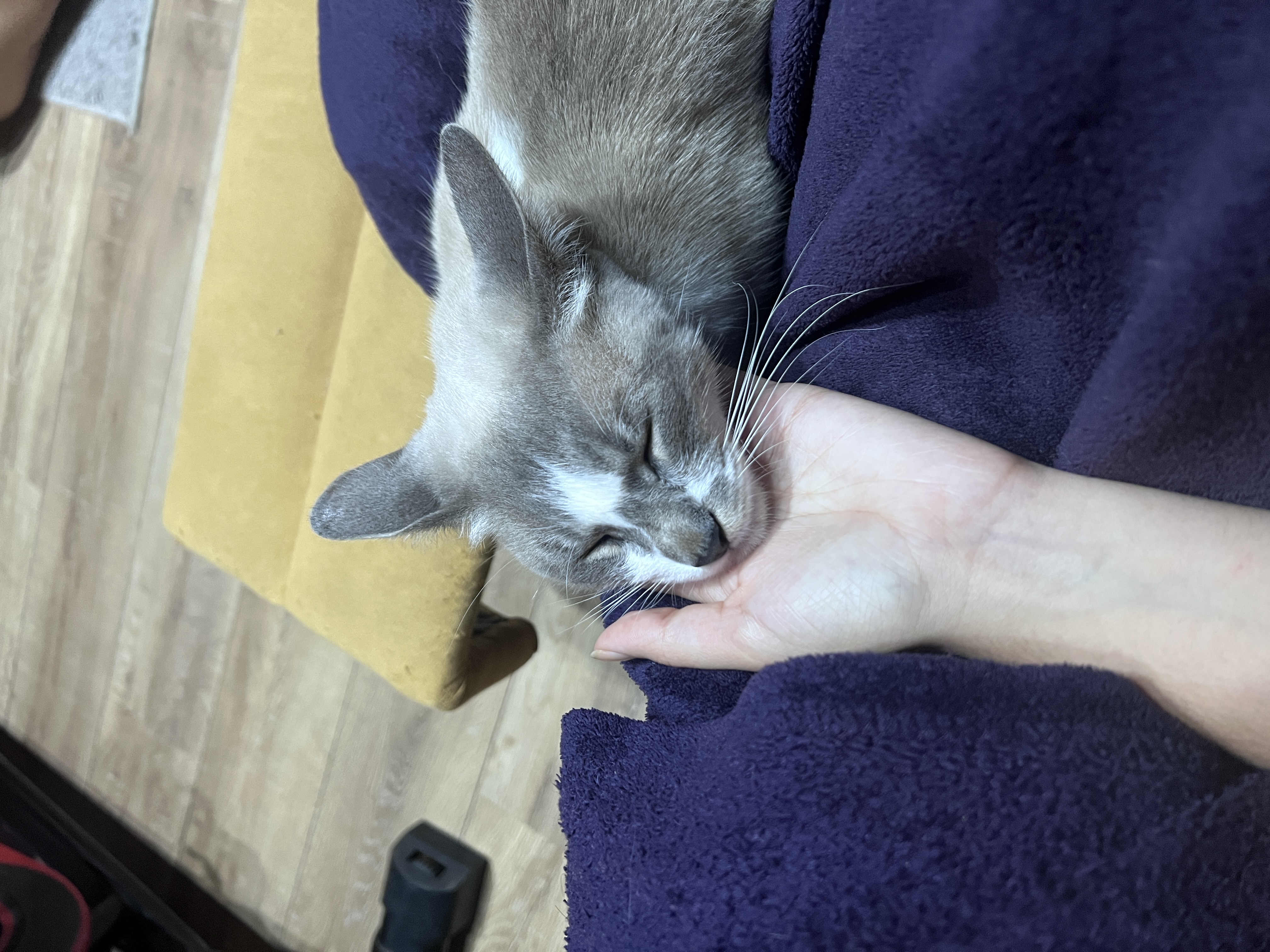 image-11
