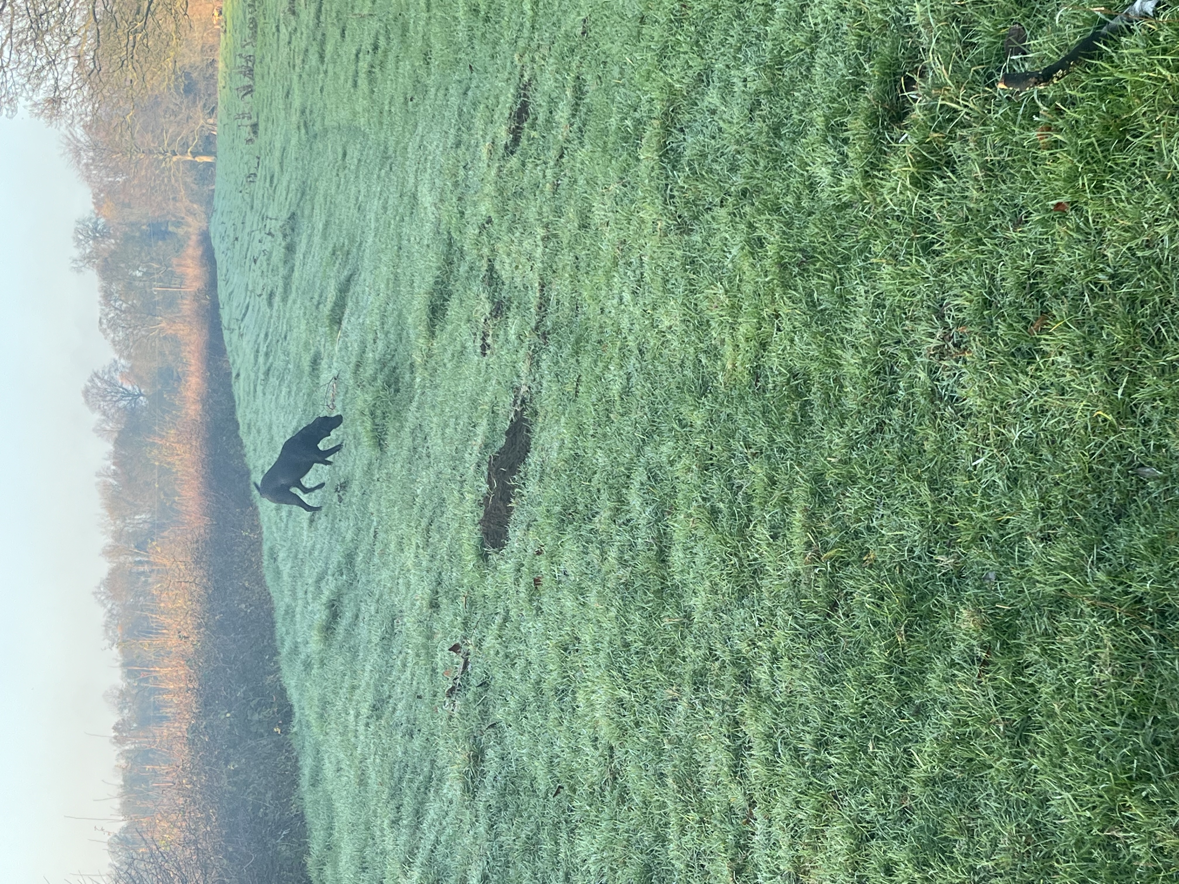 image-13