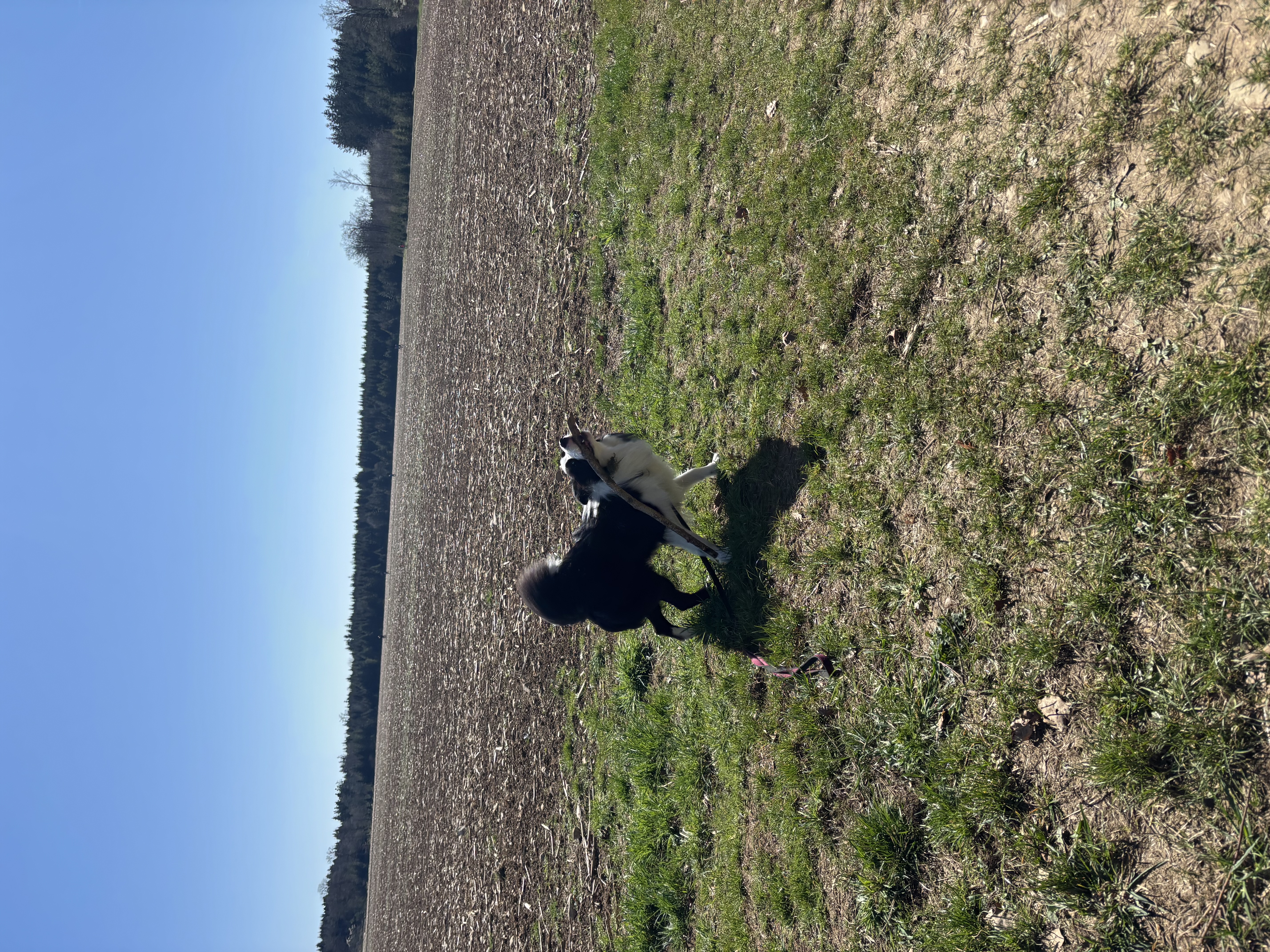image-14