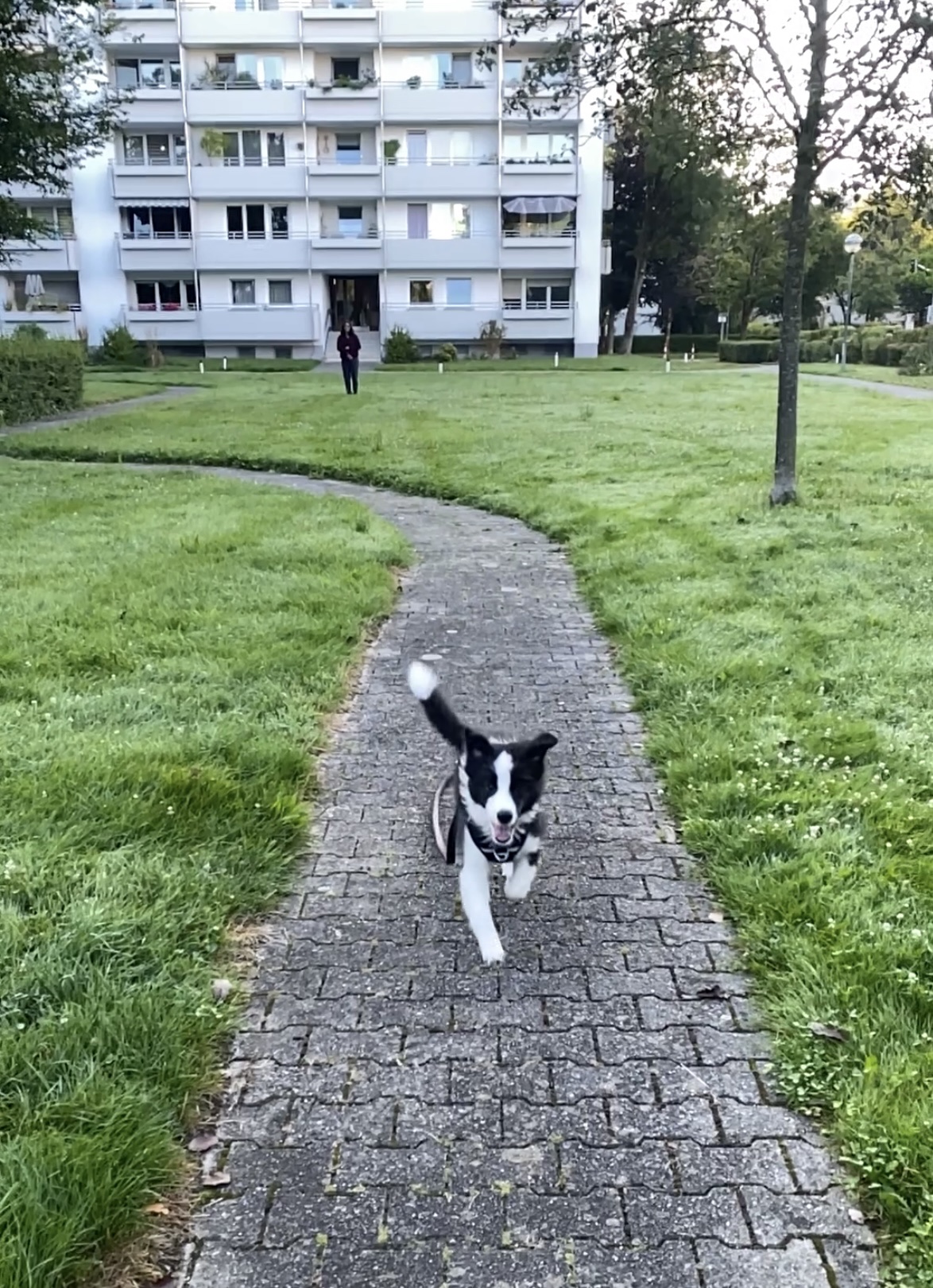 image-19