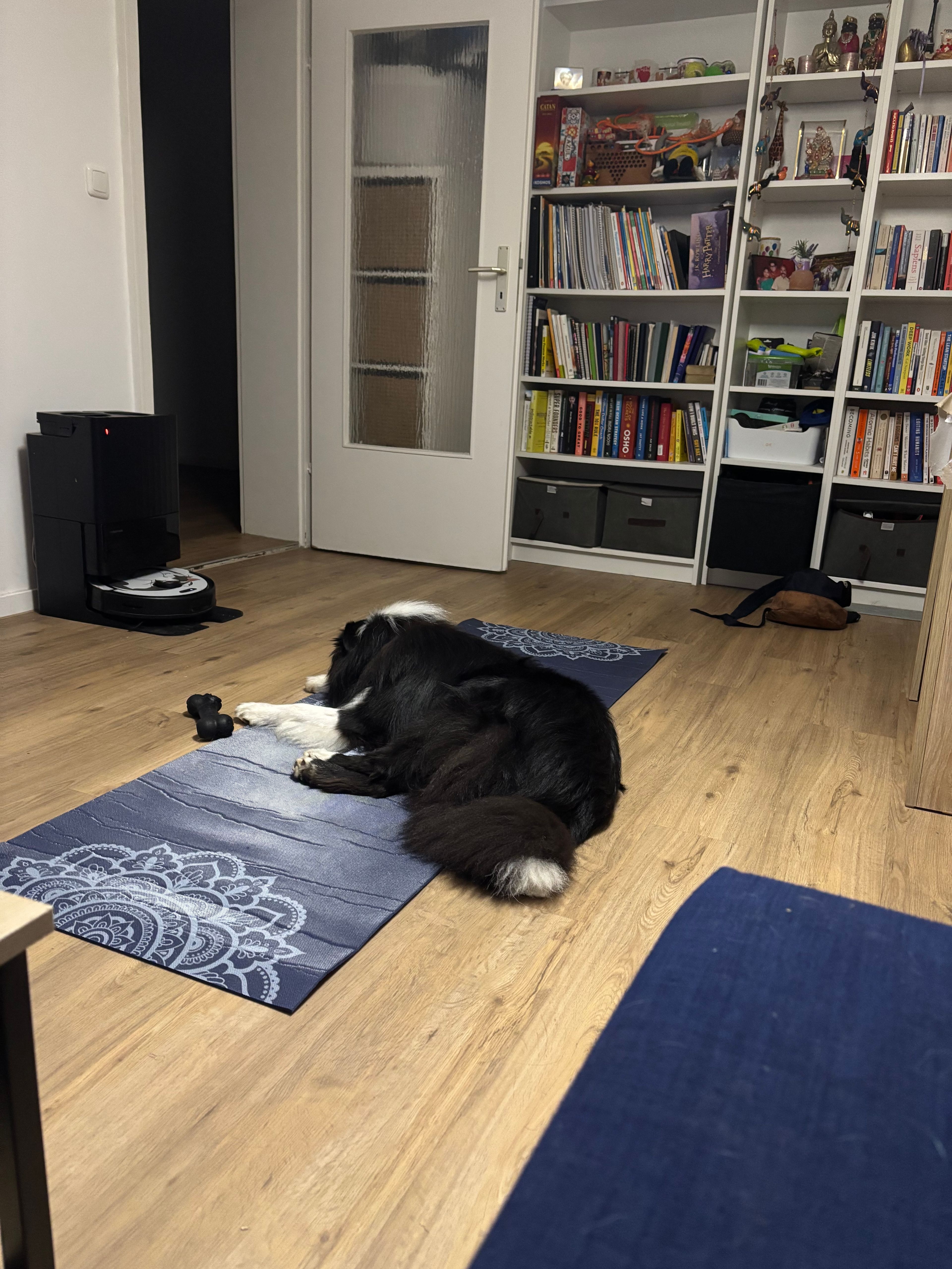 image-15