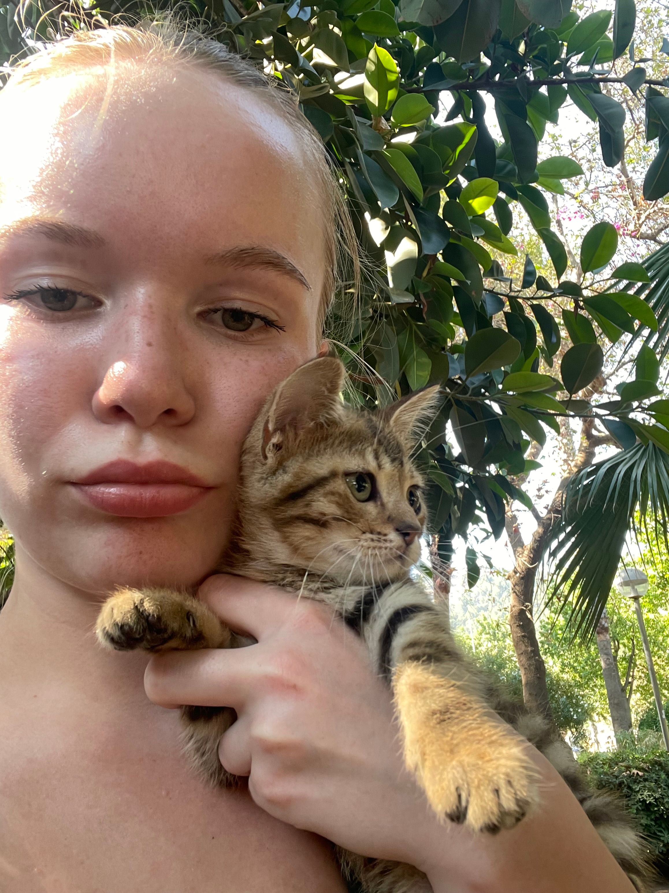 image-7