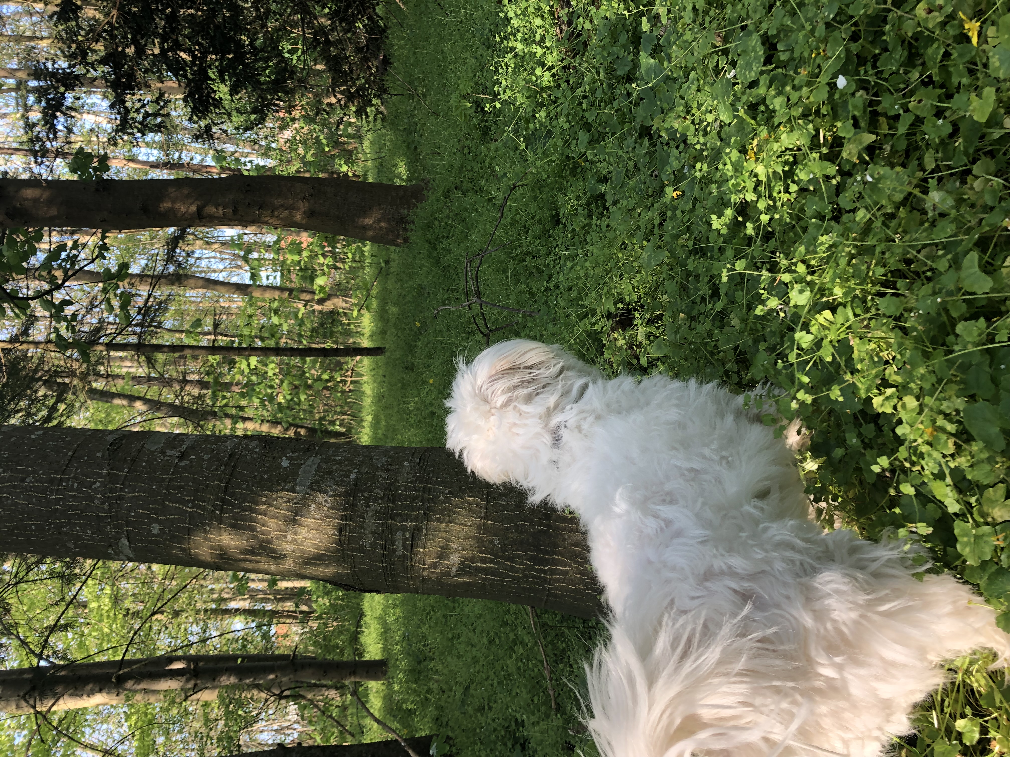 image-8