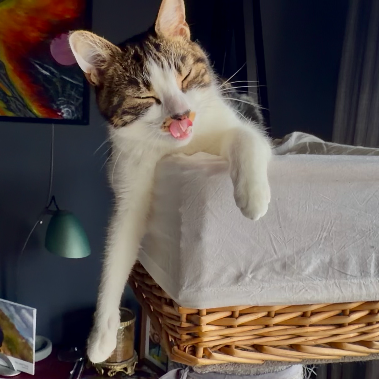 Kasha