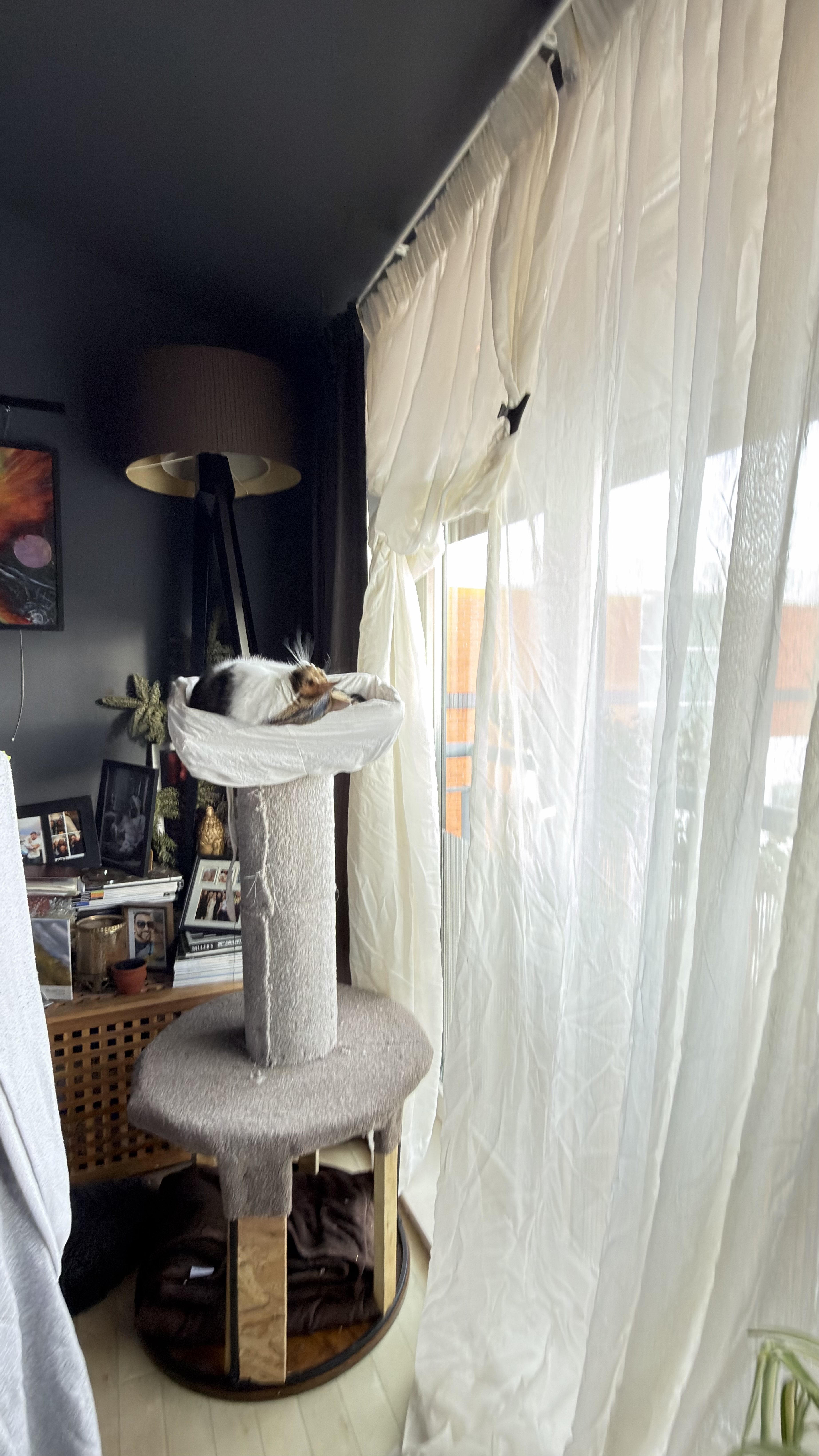 image-9
