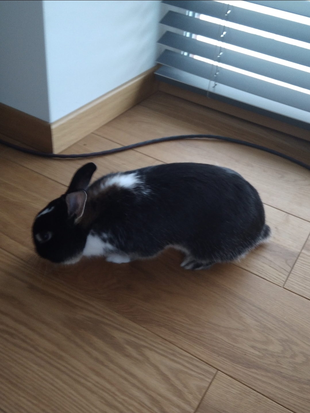 image-6