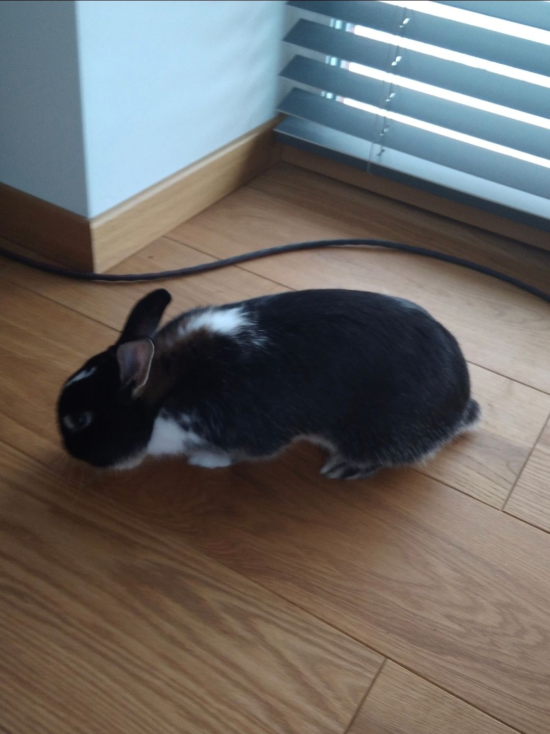 image-6