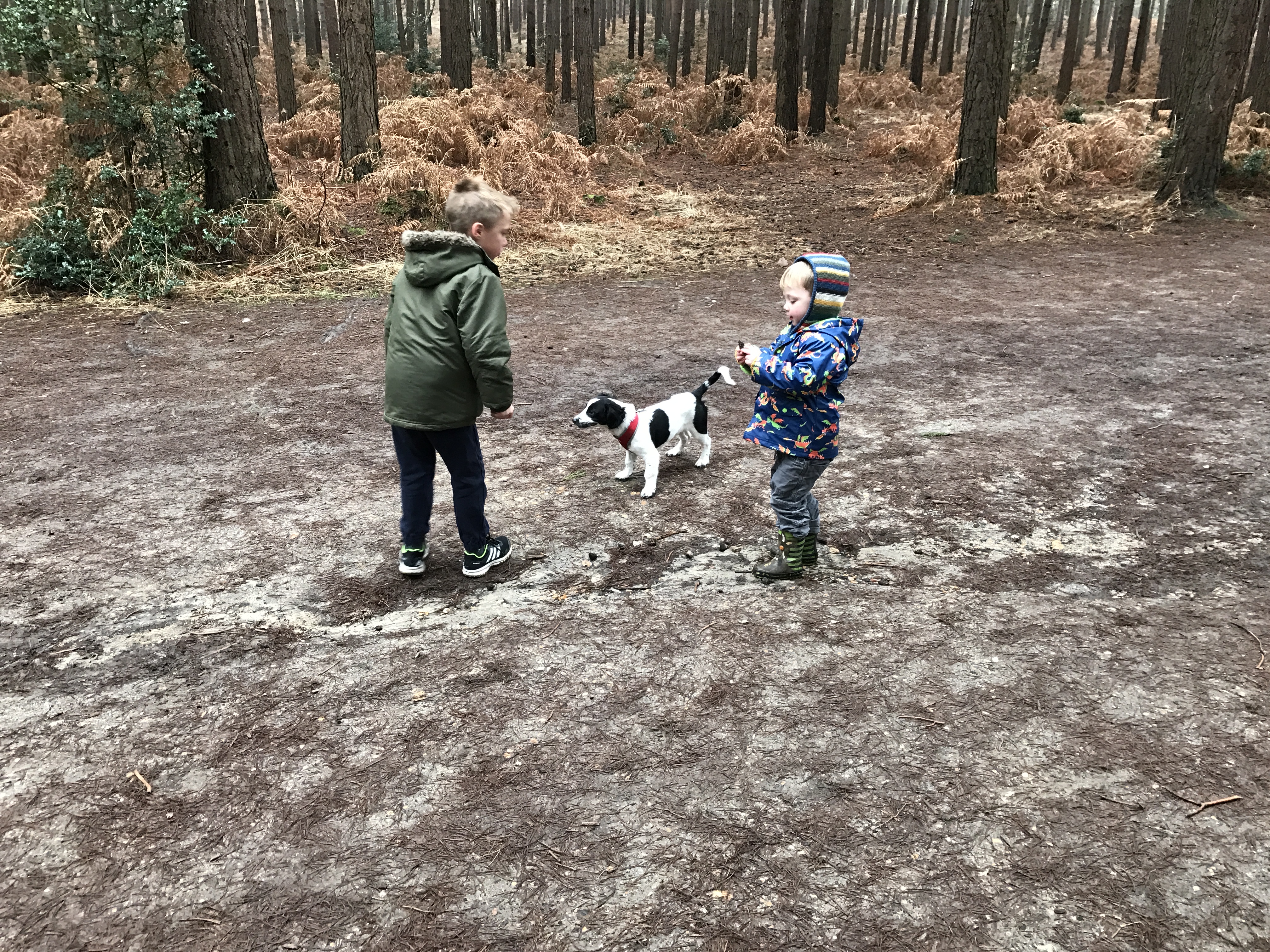 image-9