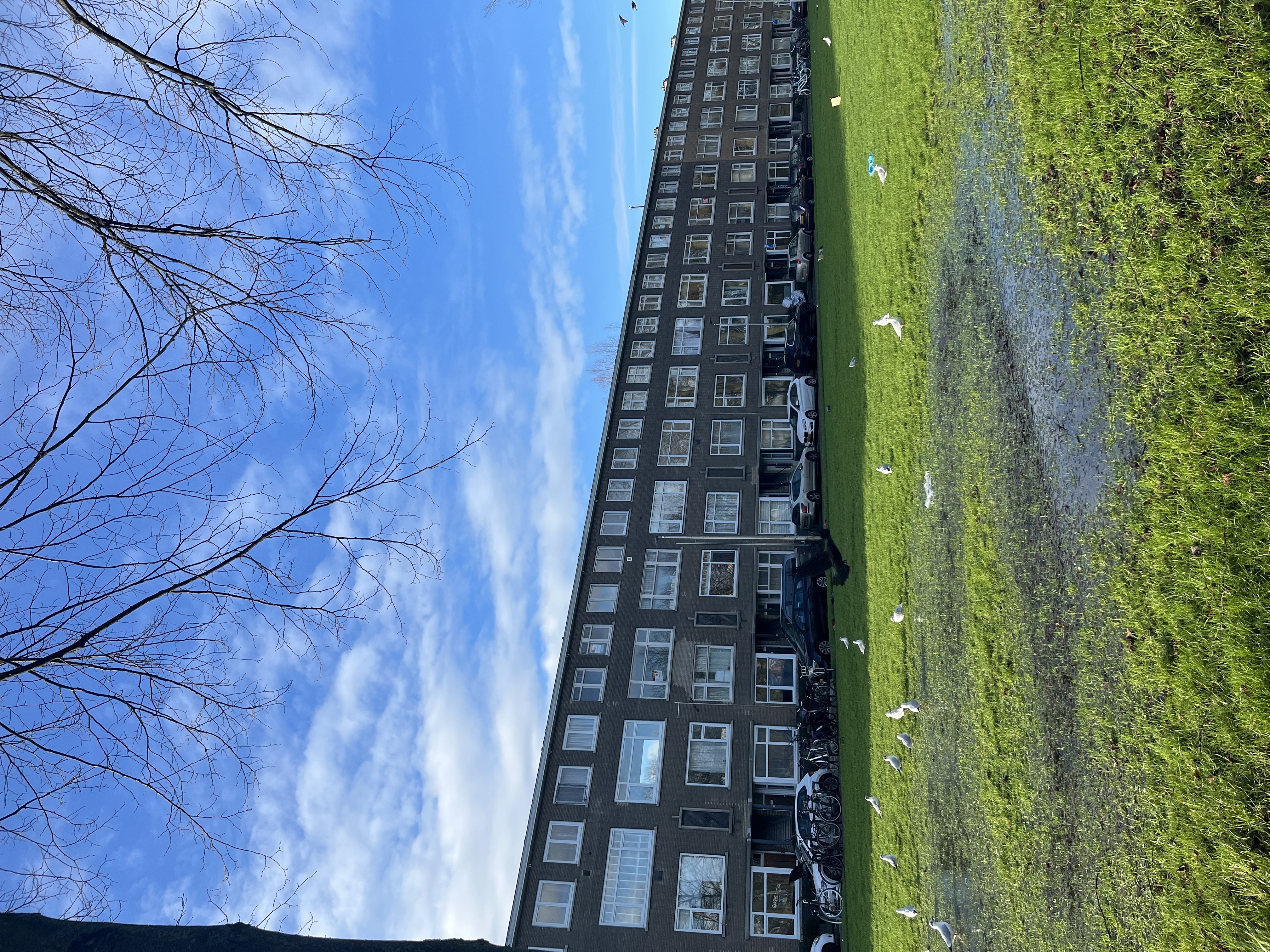 image-20
