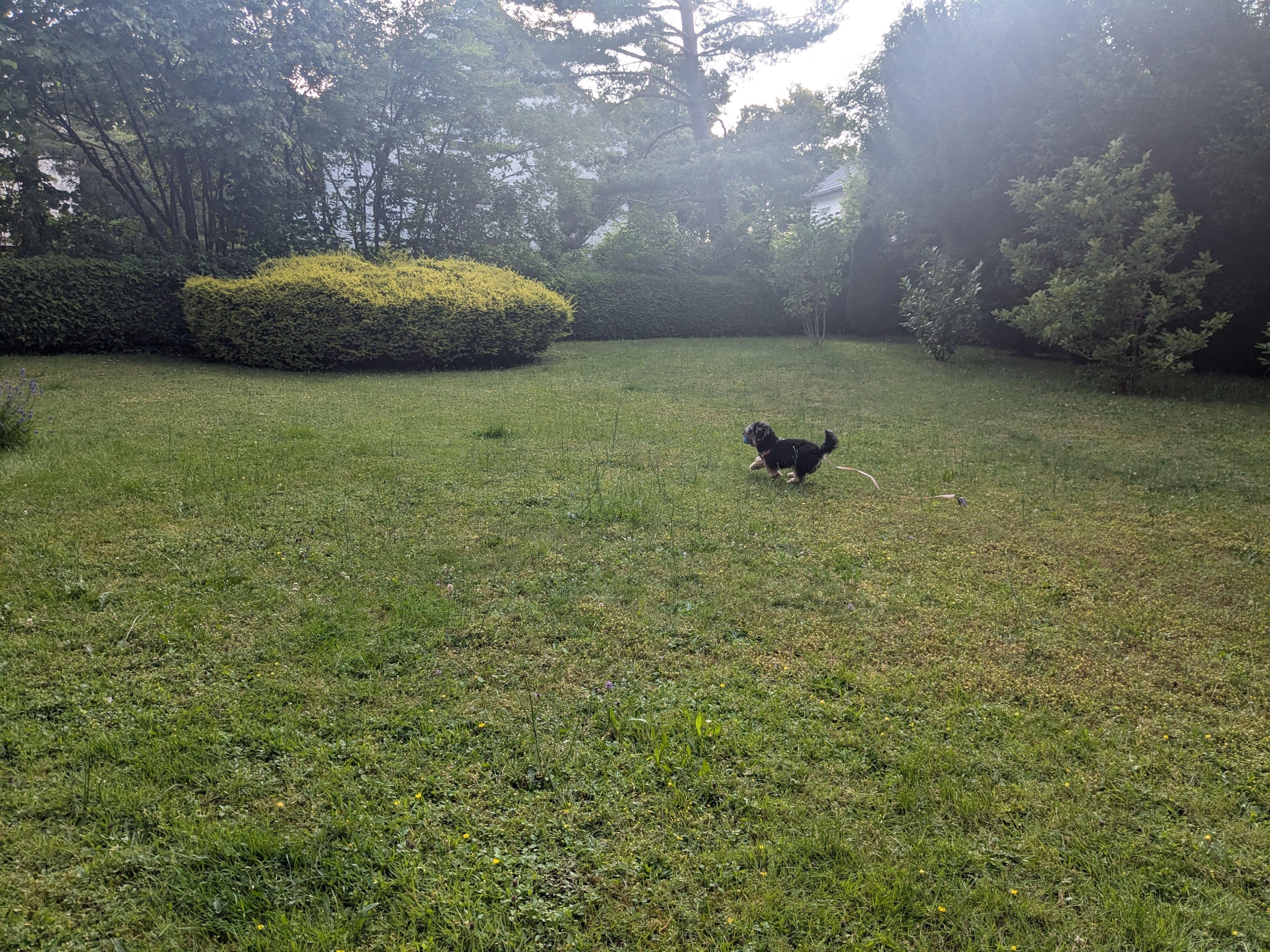 image-11