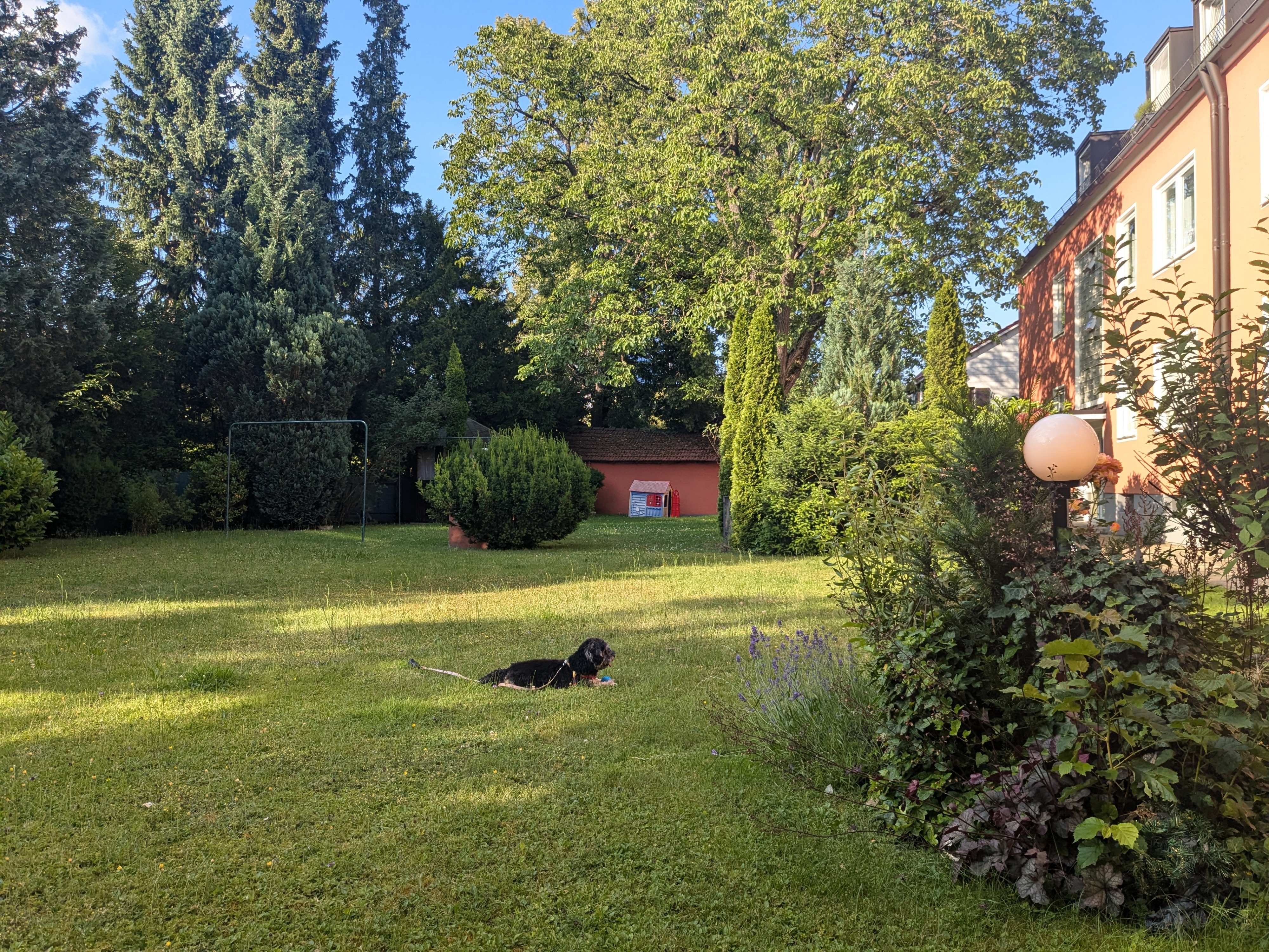 image-14