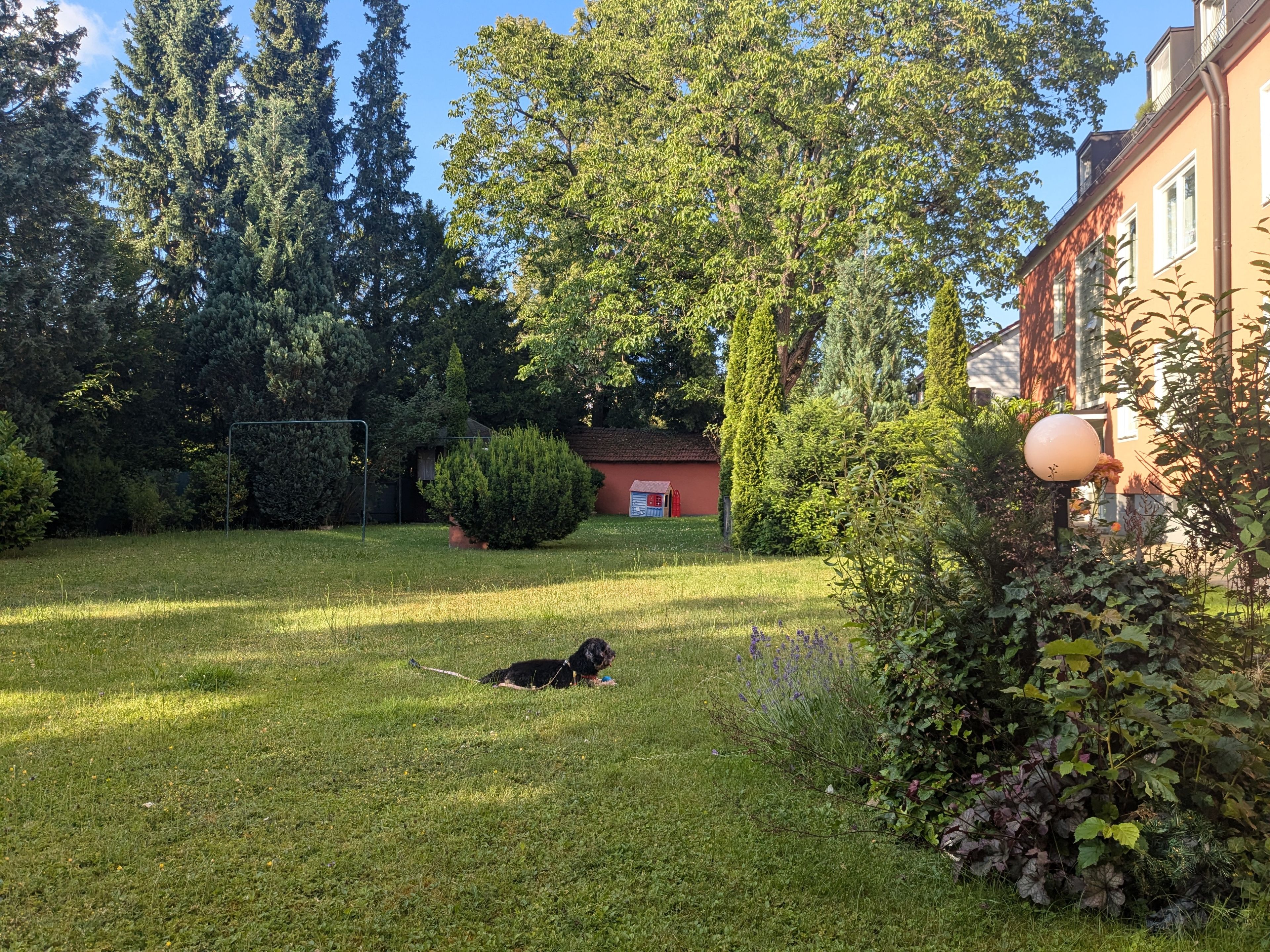 image-14